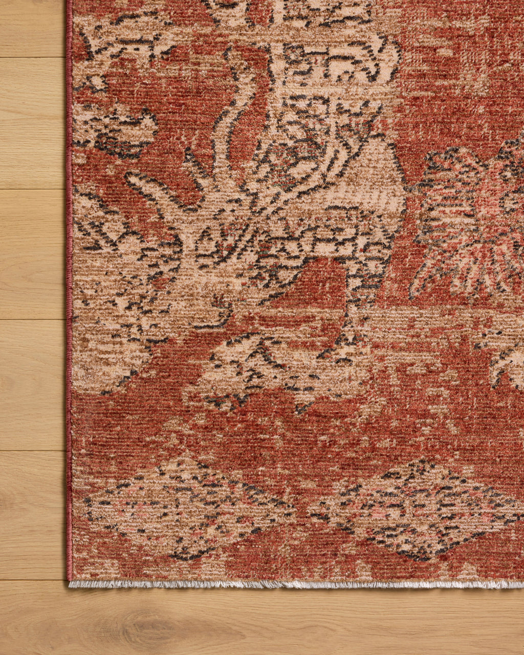 Loloi Winchester Sample Rug
