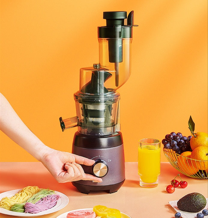 Vertical Slow Juicer with Pulp Separator – Cold Press Juice Extractor