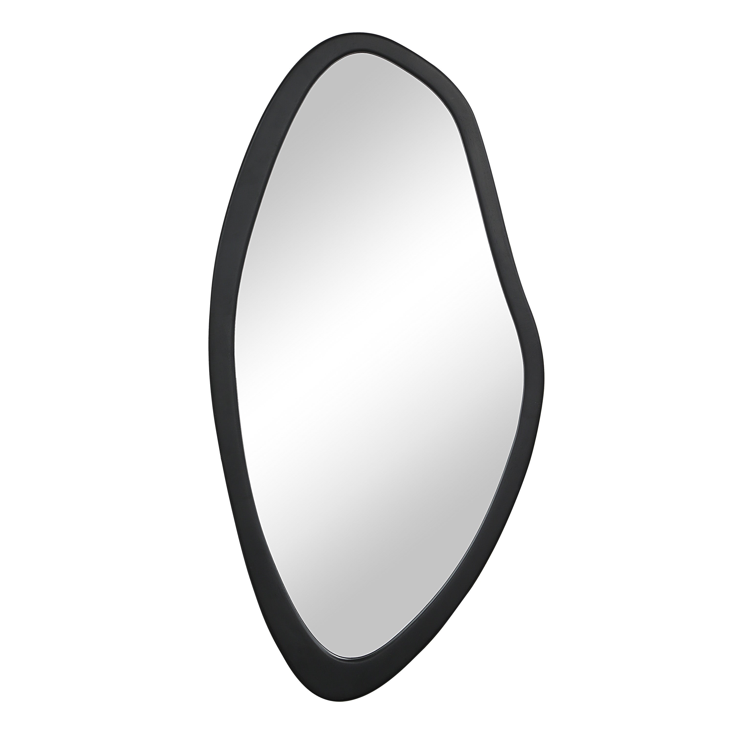 Renwil Trani 40" H x 19.75" W Wall Mirror - Black