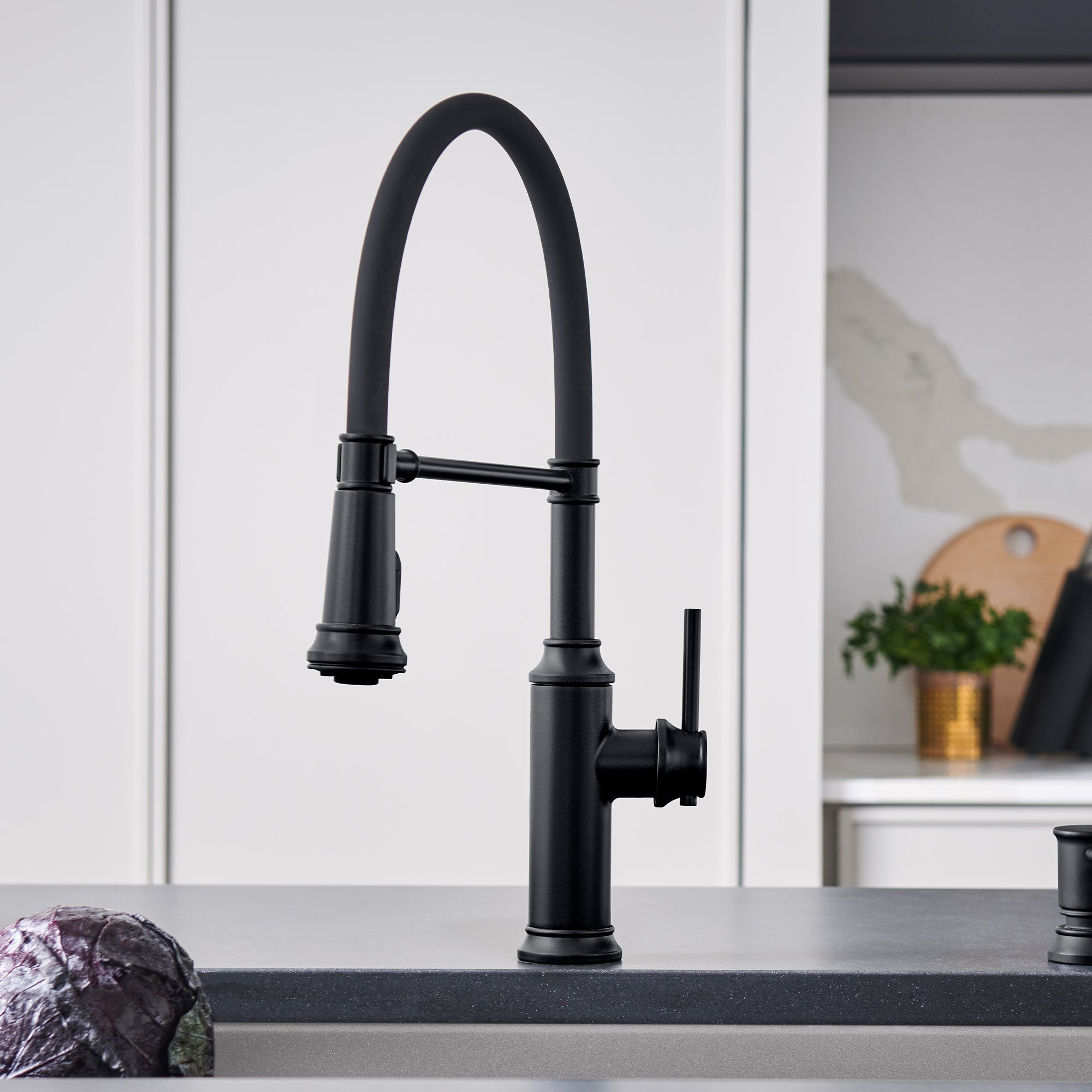 Blanco Empressa Semi-Pro Pull-Down Dual-Spray Kitchen Faucet