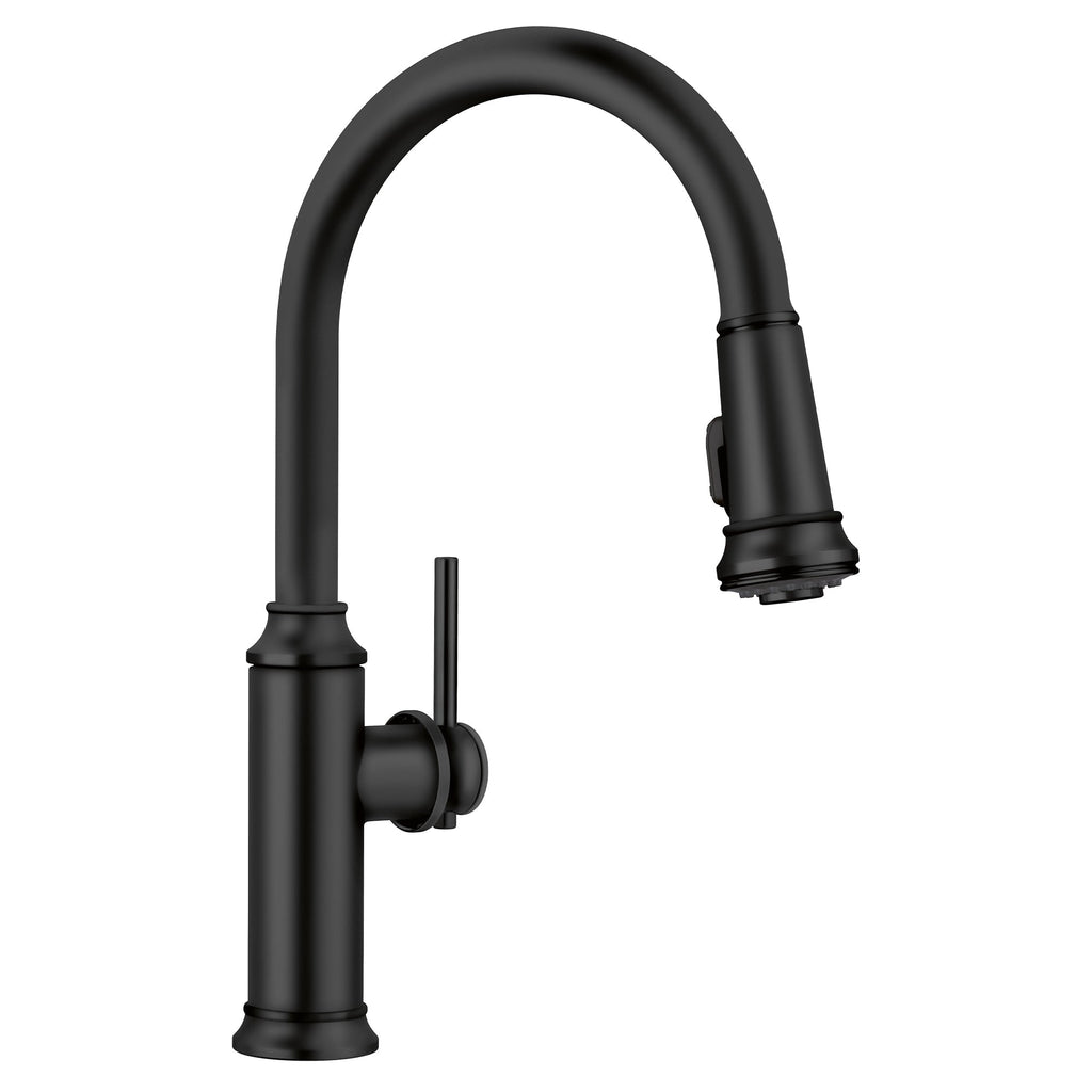 Blanco Empressa High Arc Pull-Down Dual-Spray Kitchen Faucet