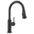 Blanco Empressa High Arc Pull-Down Dual-Spray Kitchen Faucet
