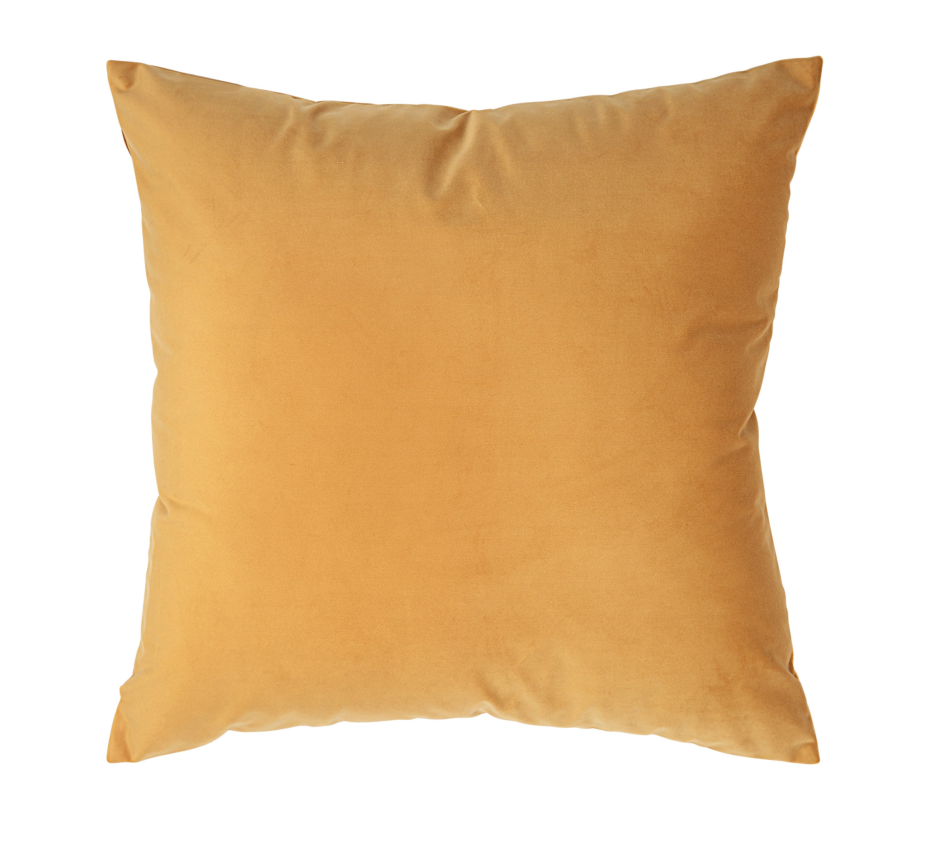 Renwil Jonquil 20 x 20 Indoor Pillow - Mango