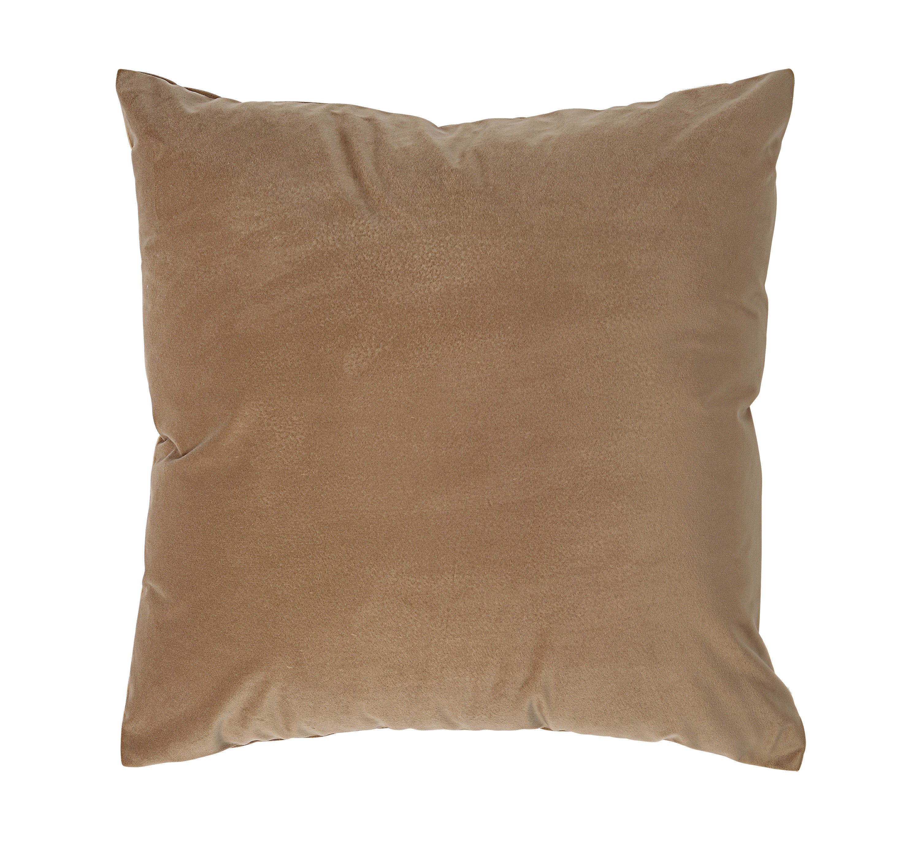 Renwil Alchemilla 20 x 20 Indoor Pillow - Camel