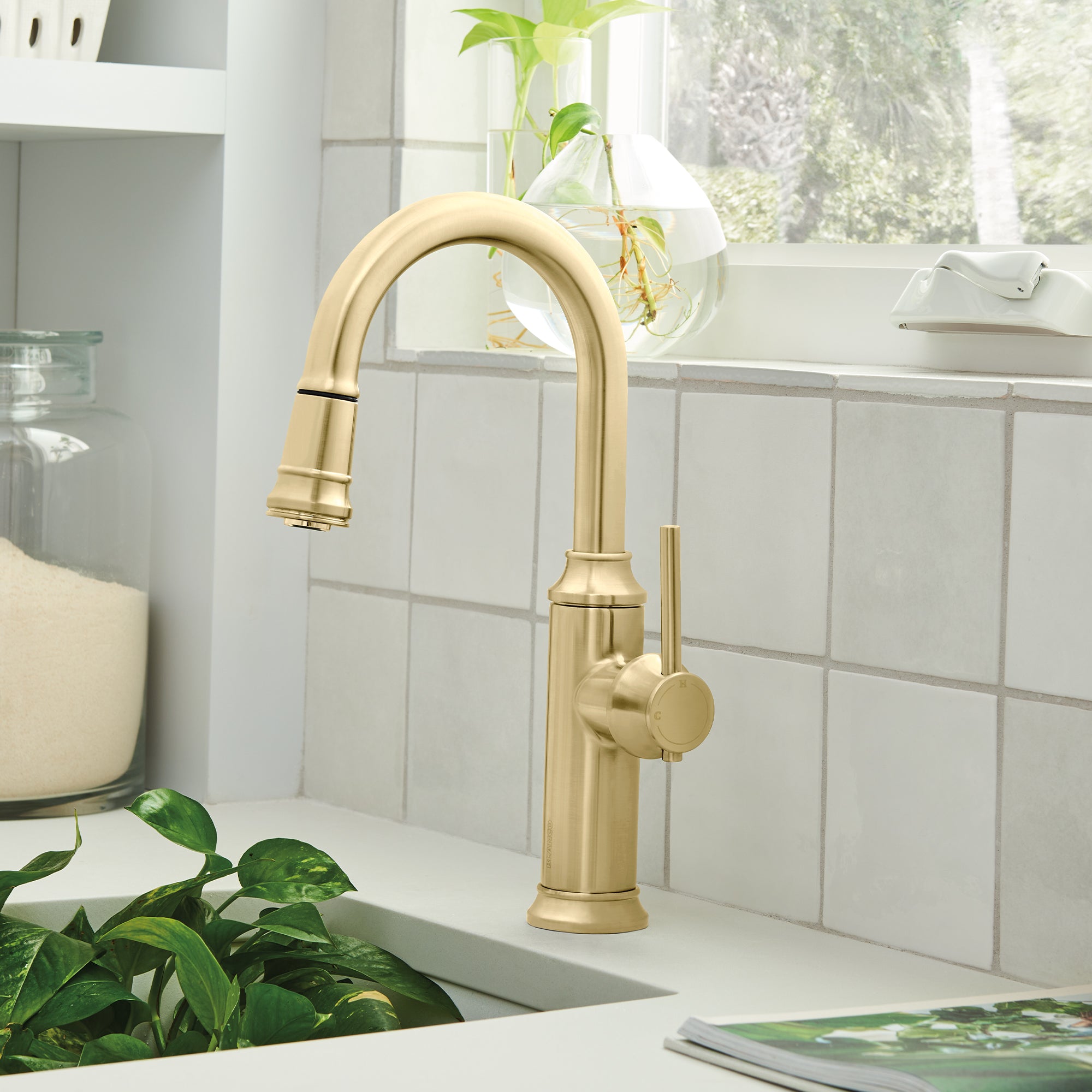 Blanco Empressa Pull-Down Bar Faucet