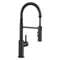 Blanco Catris Semi-Pro Pull-Down Dual-Spray Kitchen Faucet
