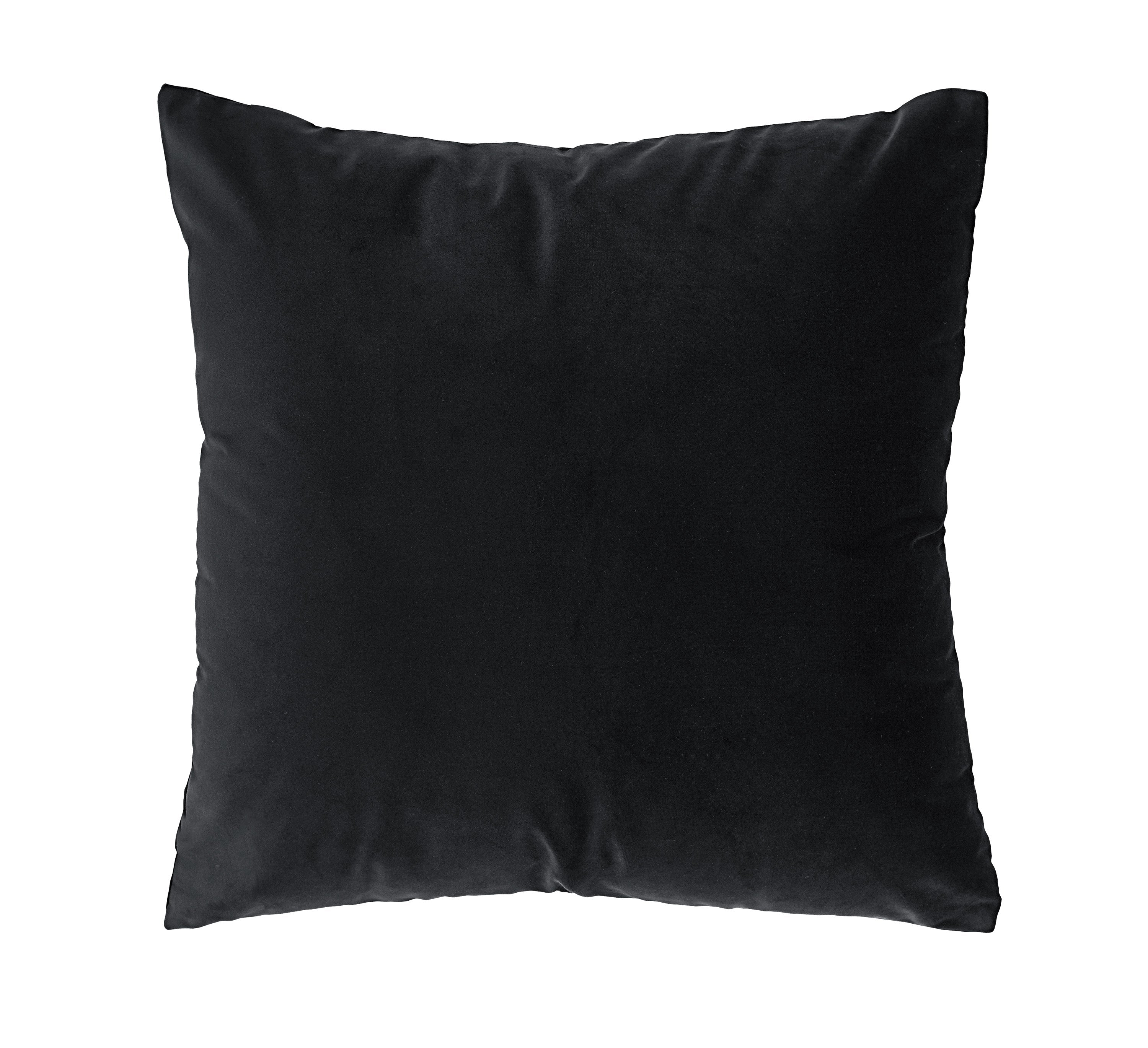 Renwil Dianthus 20 x 20 Indoor Pillow - Black