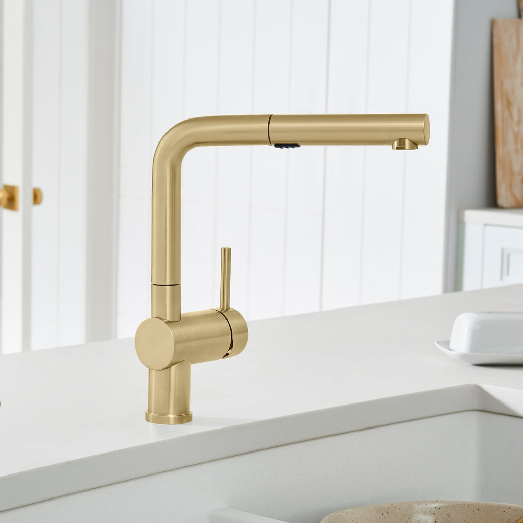 Blanco Linus Low Arc Pull-Out Dual-Spray Kitchen Faucet