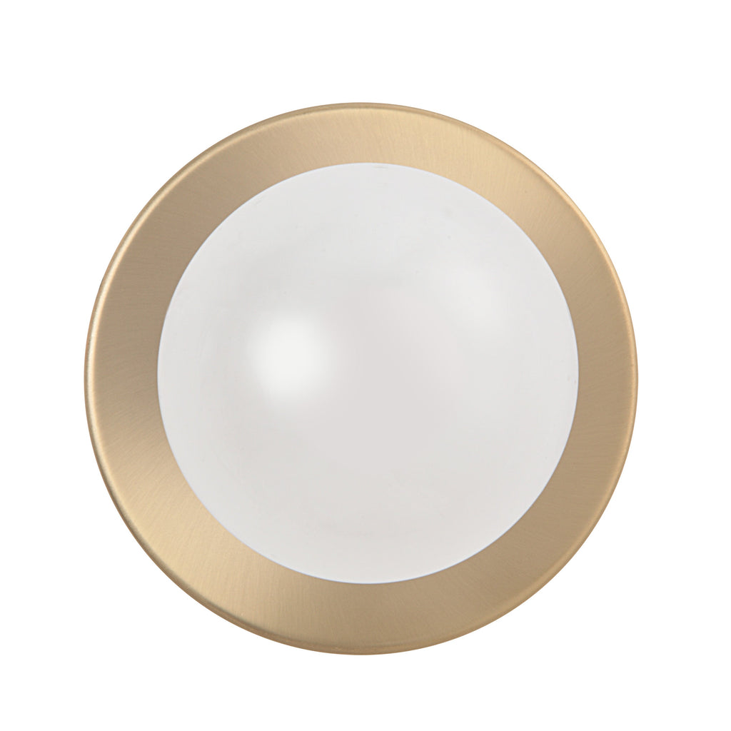 Renwil Dania 5" Burnished Brass 1-Light Wall Sconce
