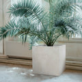Renwil Alona Indoor/Outdoor Volcanic Stone Planter - Beige