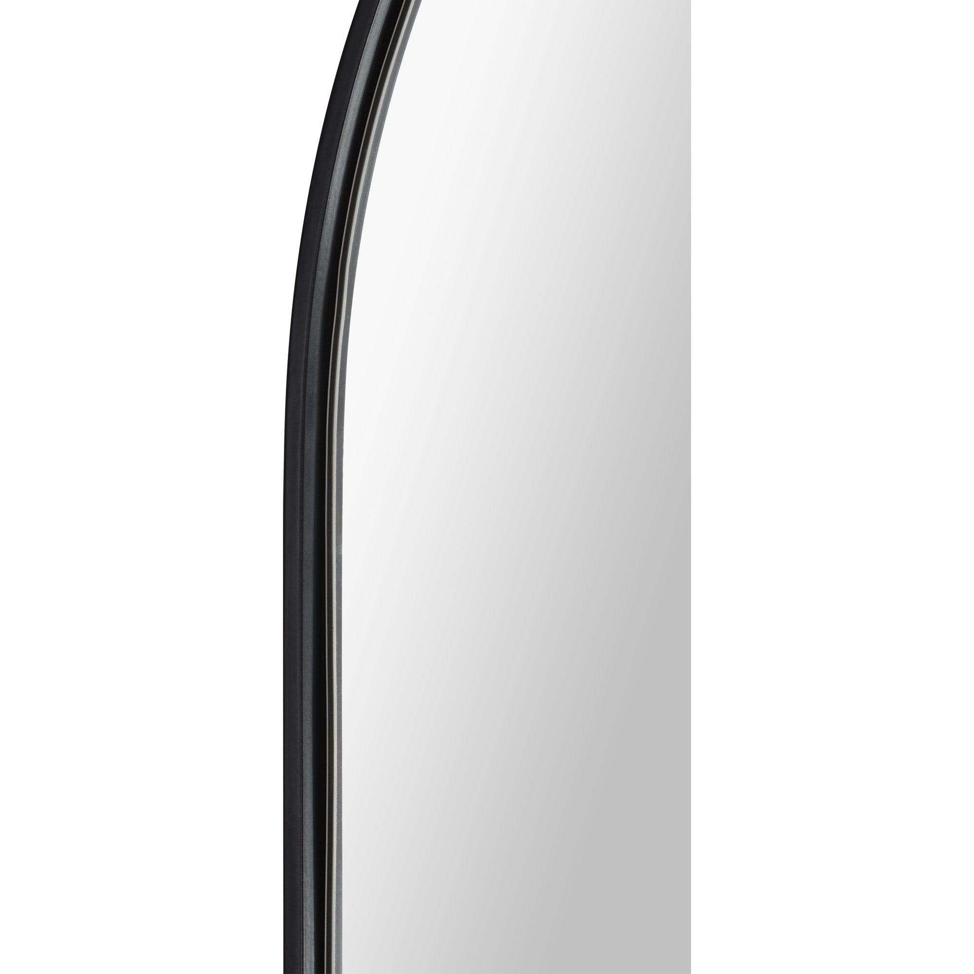 Renwil Ammar 60" Tall Oval Wall Mirror - Black