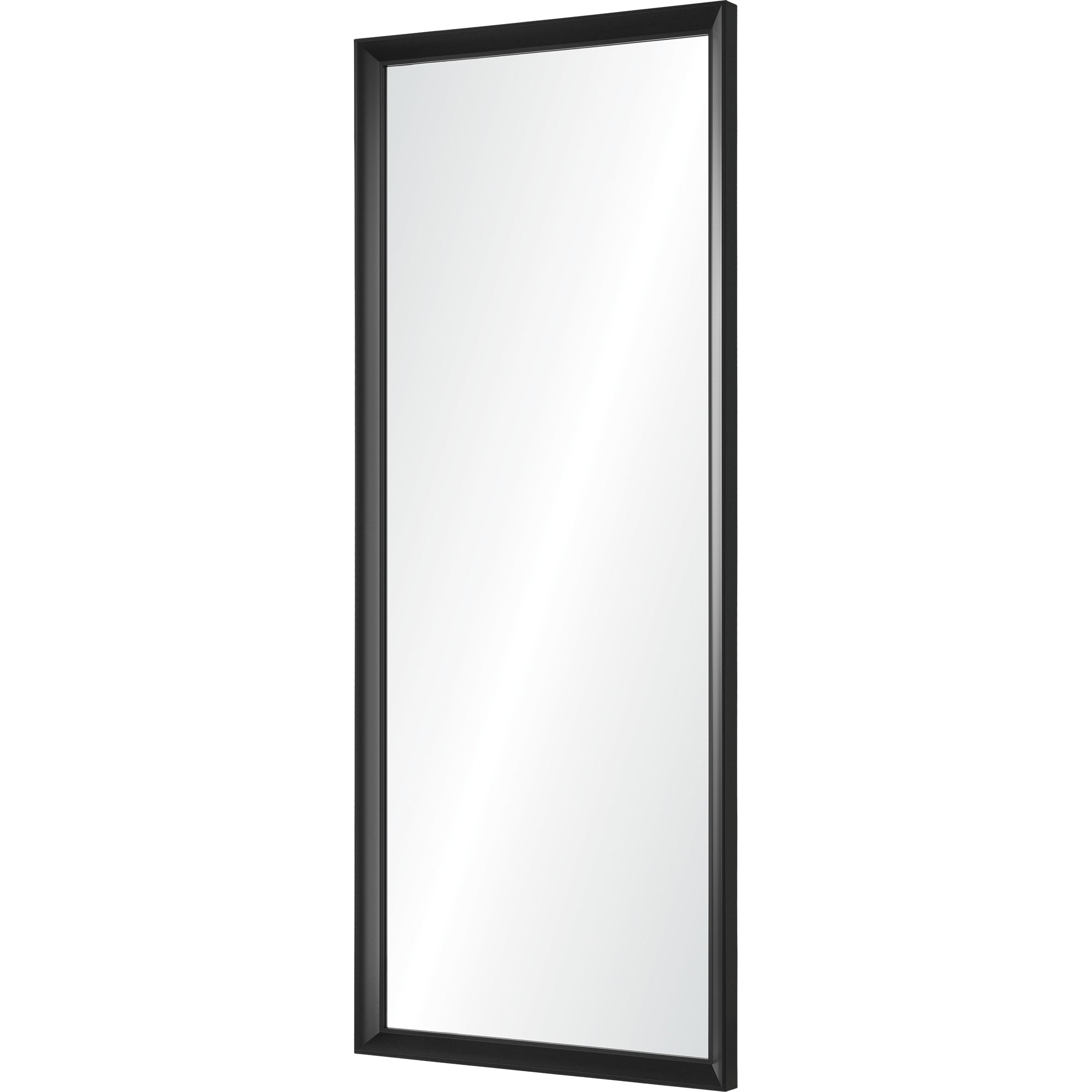 Renwil Delacorte 80" Tall Rectangle Wall Mirror - Black