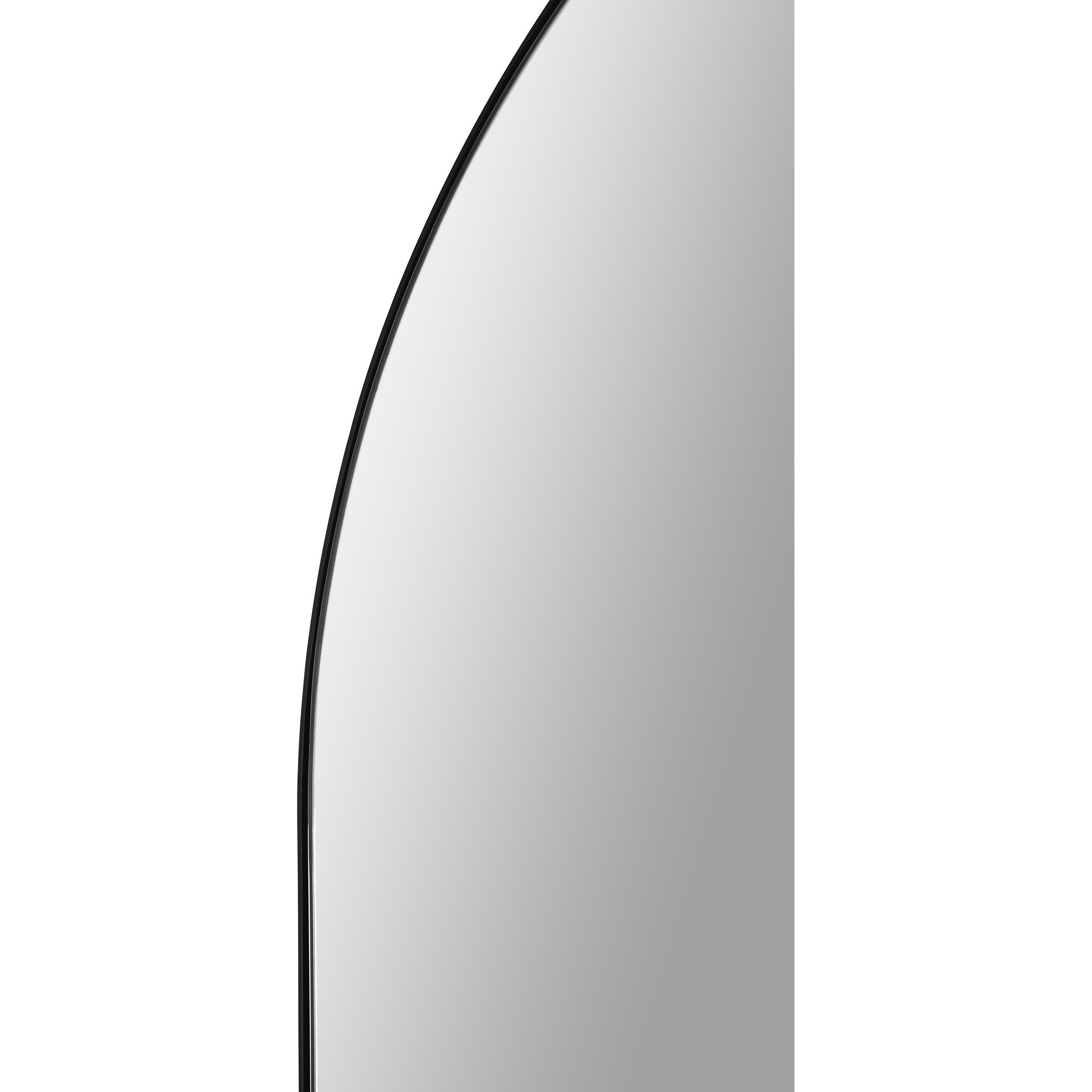 Renwil Webster 40" Tall Oval Wall Mirror - Black