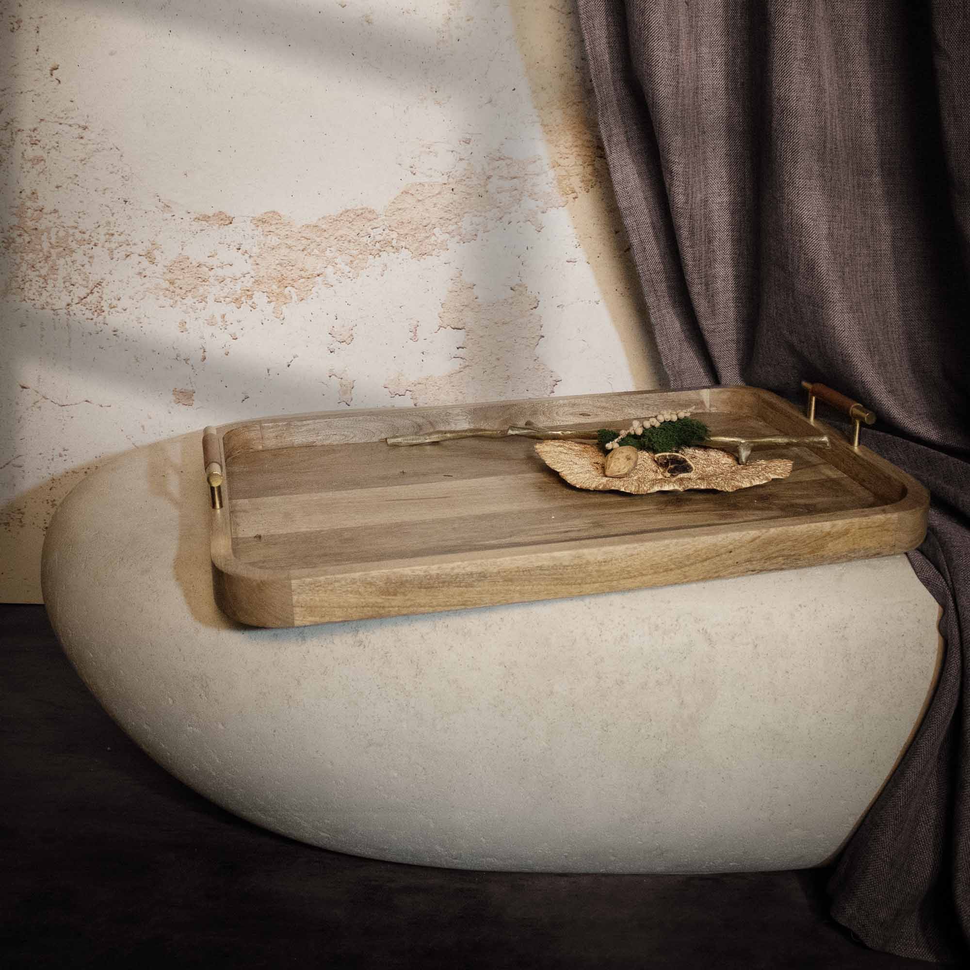 Renwil Mango Indoor Mango Wood Tray - Natural