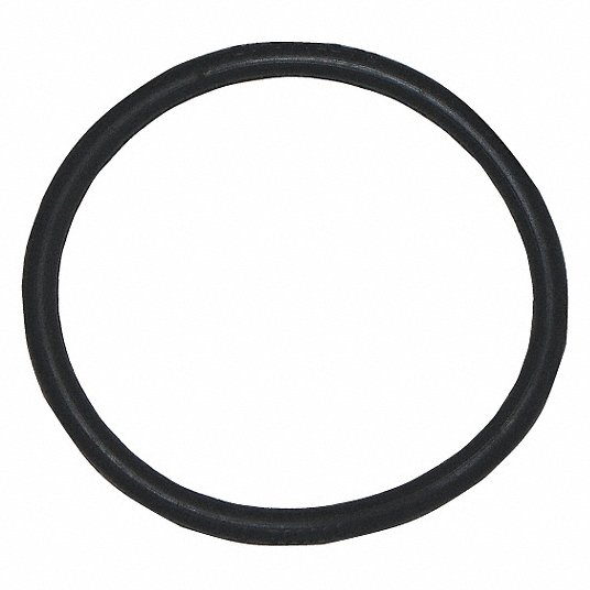 BISSELL COMMERCIAL Vacuum Cleaner Belt: Fits Bissell Vacuum Brand