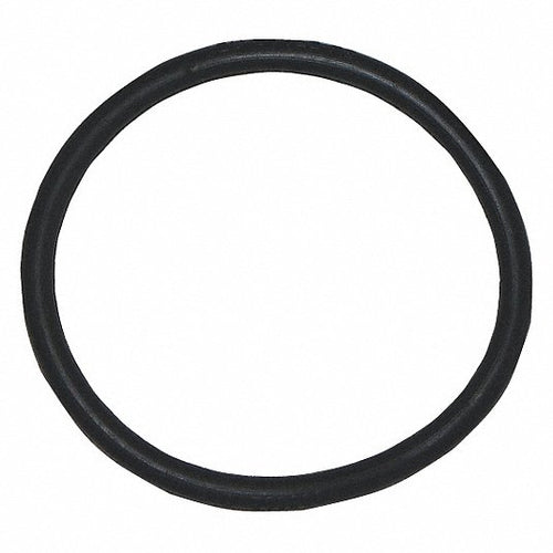 BISSELL COMMERCIAL Vacuum Cleaner Belt: Fits Bissell Vacuum Brand
