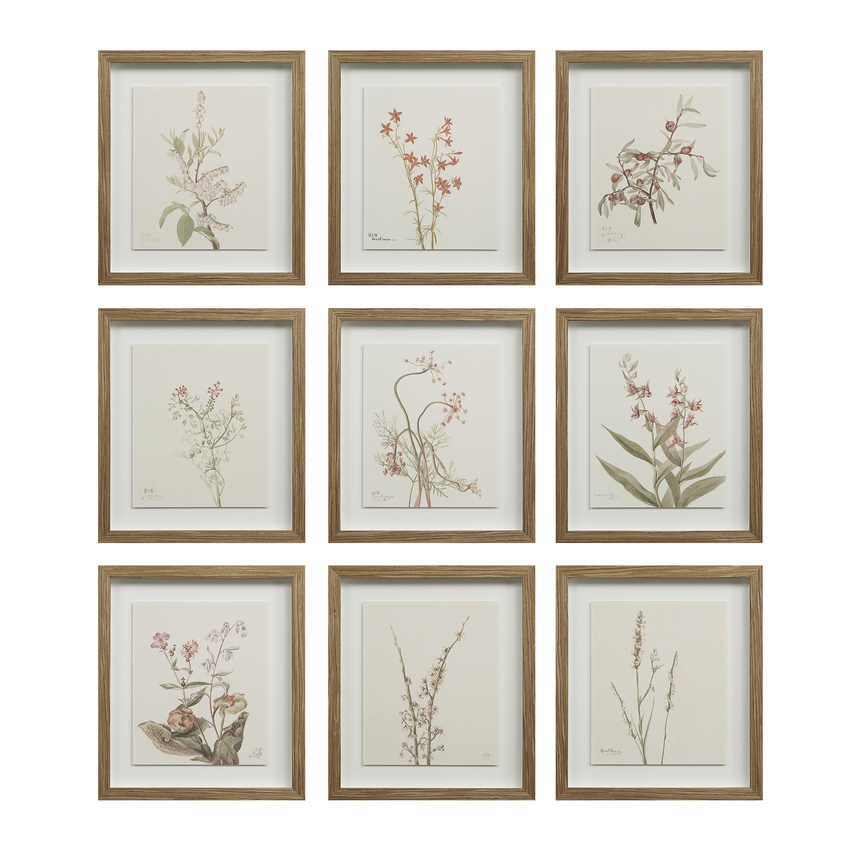Renwil Crema 13.25" Wide Wall Decor - Printed Artwork