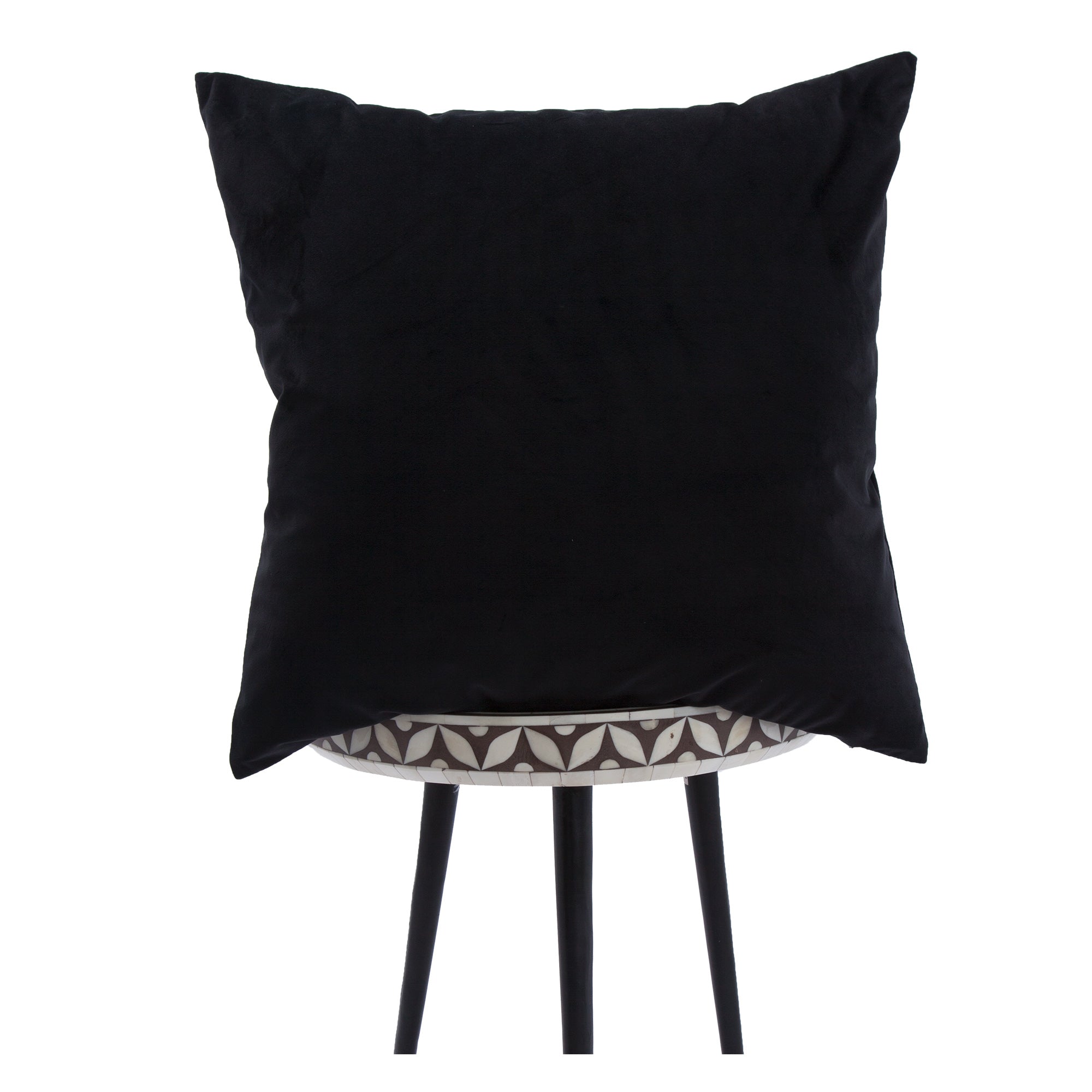 Renwil Midnight 20 x 20 Indoor Pillow - Black