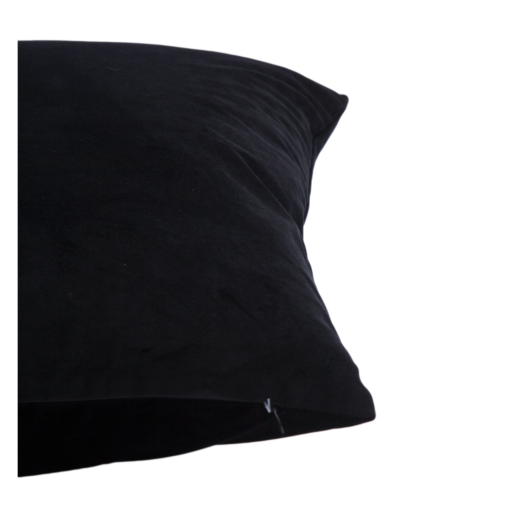Renwil Midnight 20 x 20 Indoor Pillow - Black