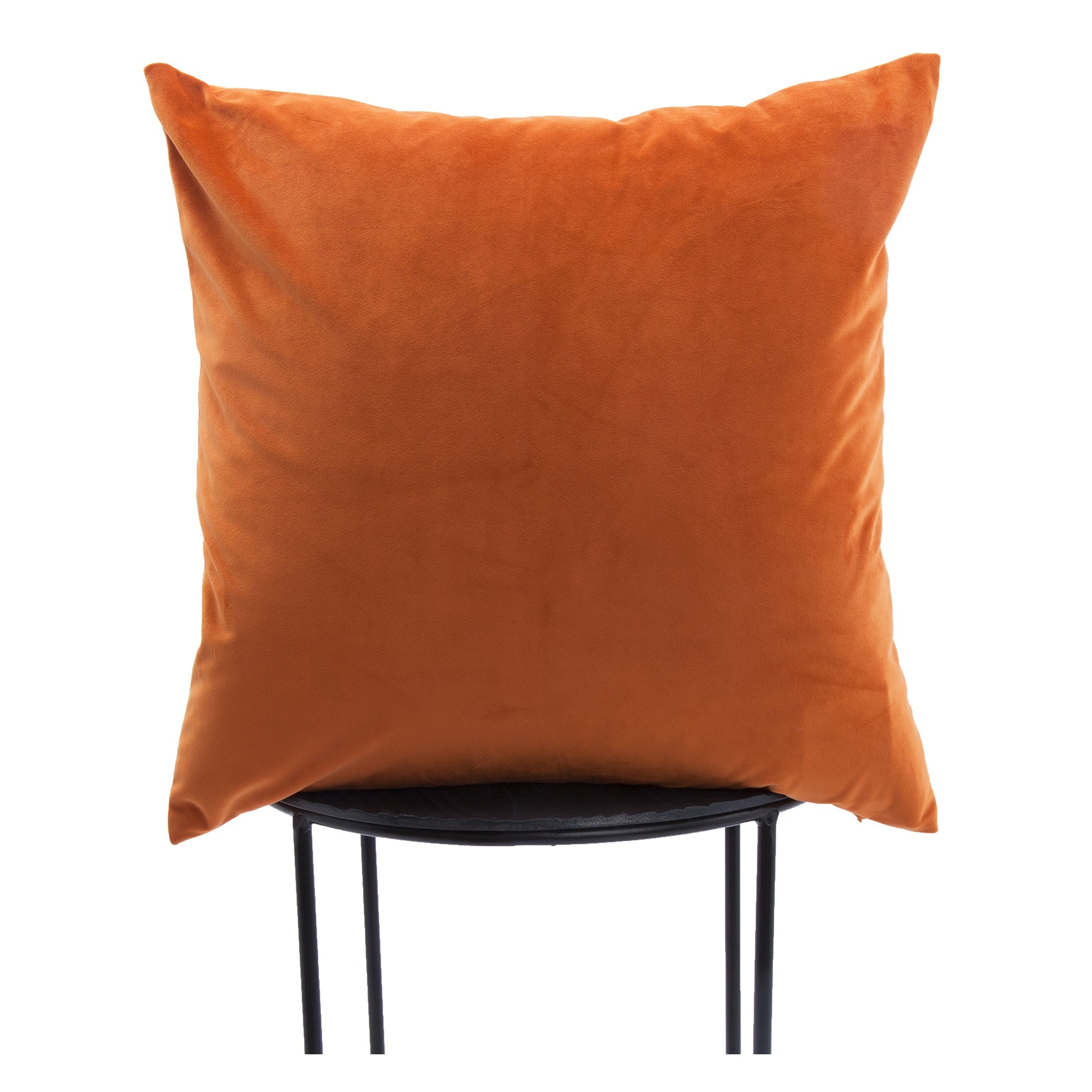 Renwil Prato 20 x 20 Indoor Pillow - Mango
