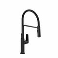 Mythic Kitchen Faucet with 2 Jet Spray
