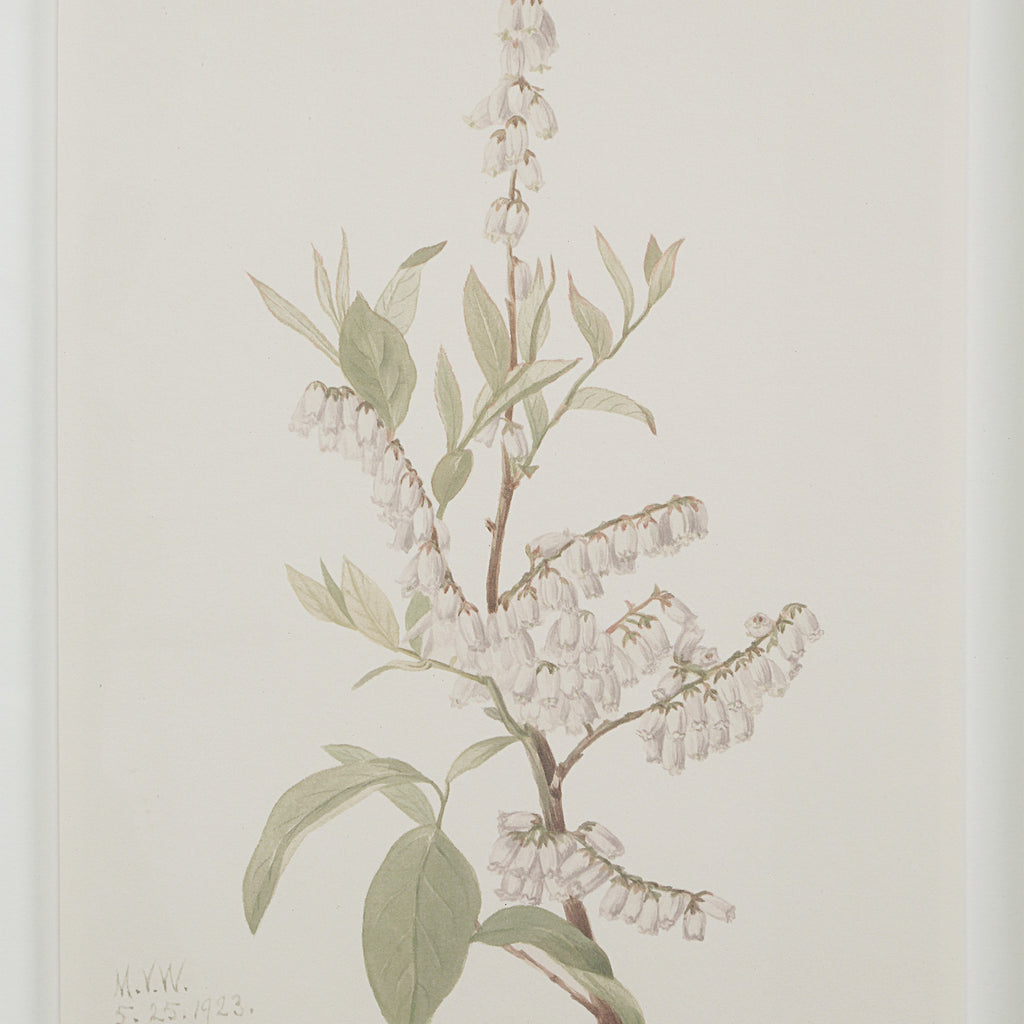 Renwil Crema 13.25" Wide Wall Decor - Printed Artwork