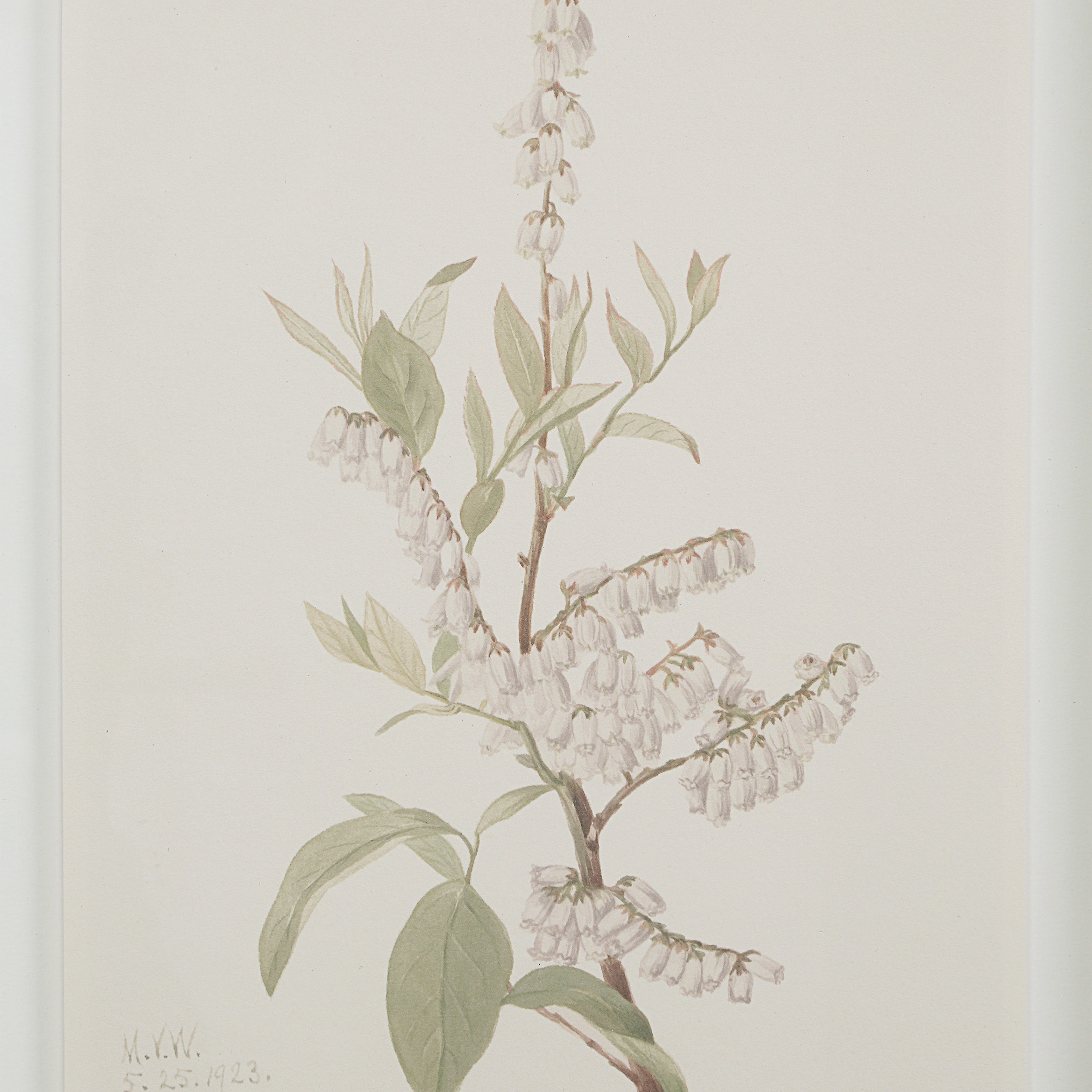 Renwil Crema 13.25" Wide Wall Decor - Printed Artwork