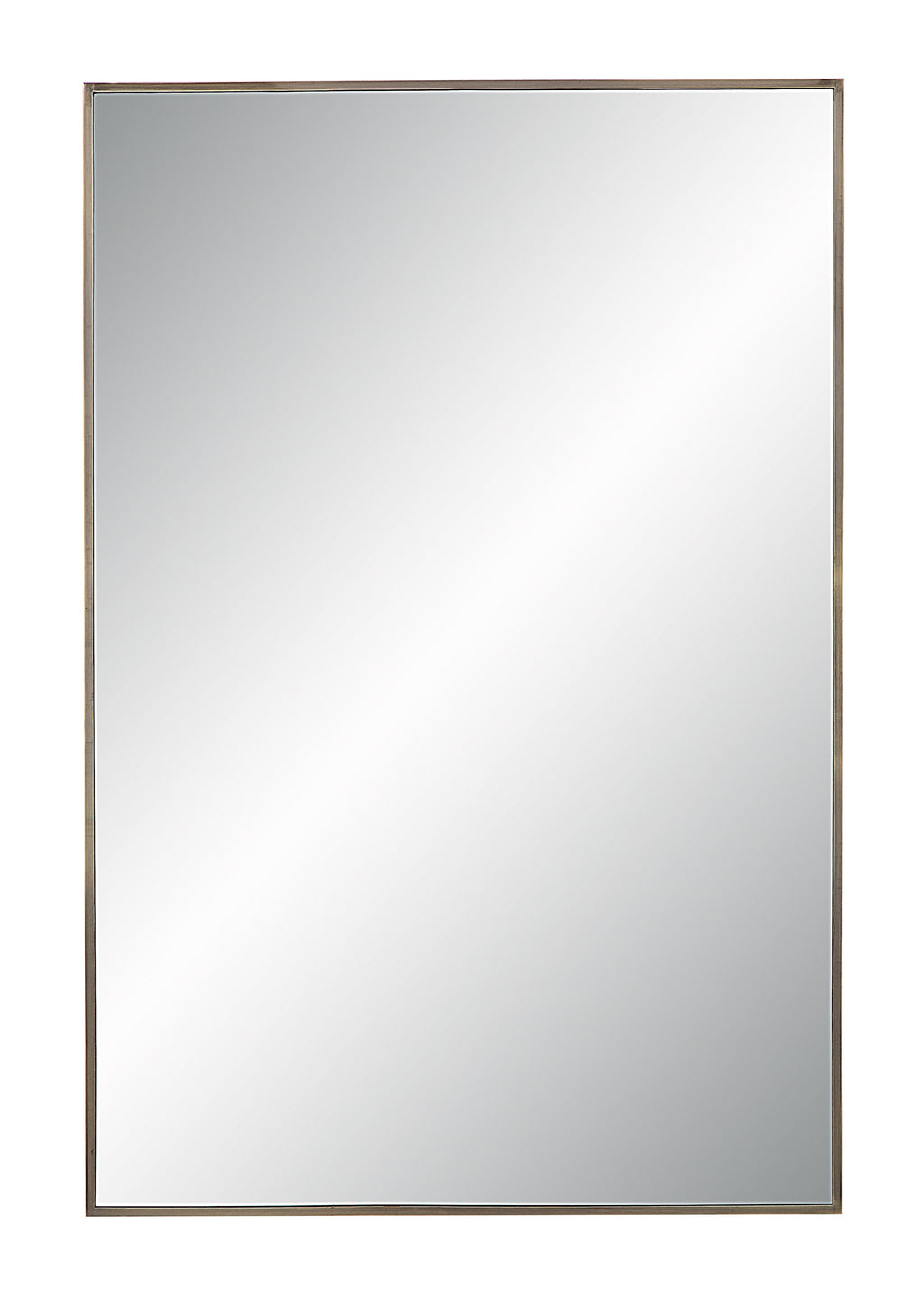 Renwil Cider 45" Tall Rectangular Mirror - Brushed Bronze