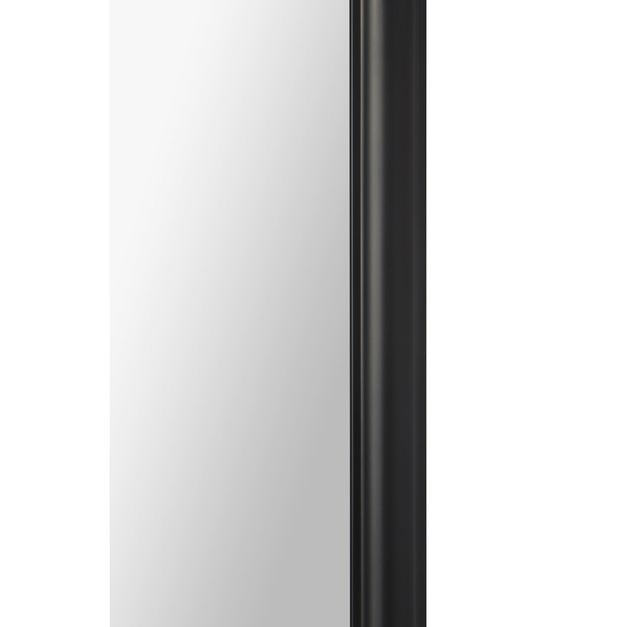 Renwil Priscilla 39.5" Tall Rectangle Wall Mirror - Black