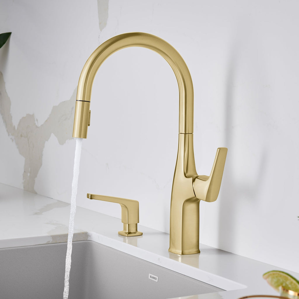 Blanco Rivana High-Arc Pull-Down Dual-Spray Kitchen Faucet
