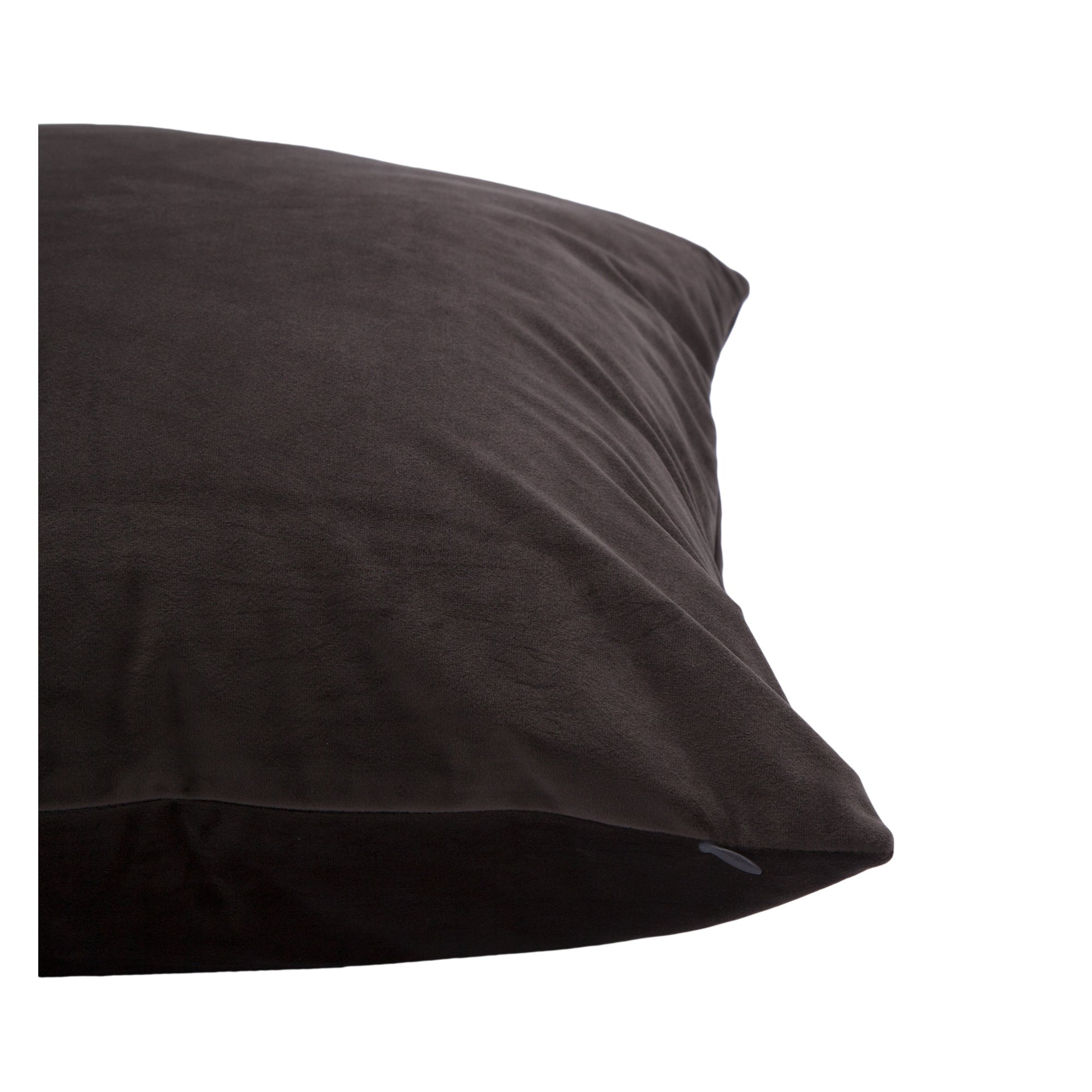 Renwil Chestnut 20 x 20 Indoor Pillow - Dark Gray