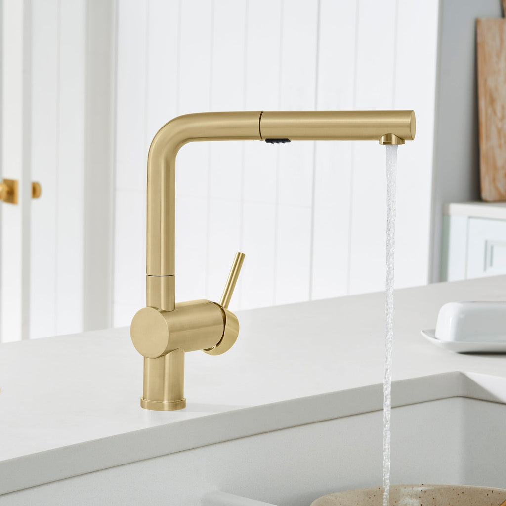 Blanco Linus Low Arc Pull-Out Dual-Spray Kitchen Faucet