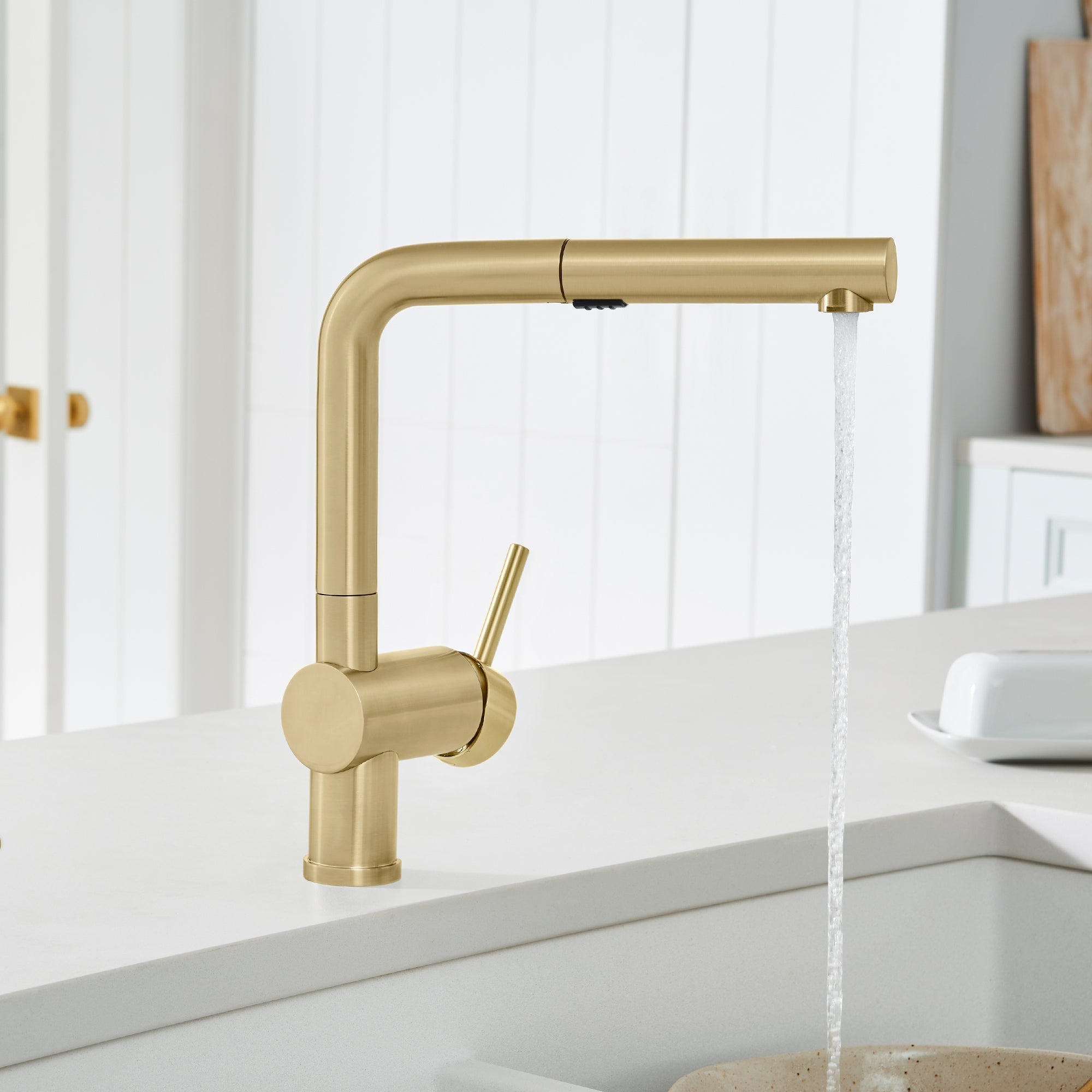 Blanco Linus Low Arc Pull-Out Dual-Spray Kitchen Faucet