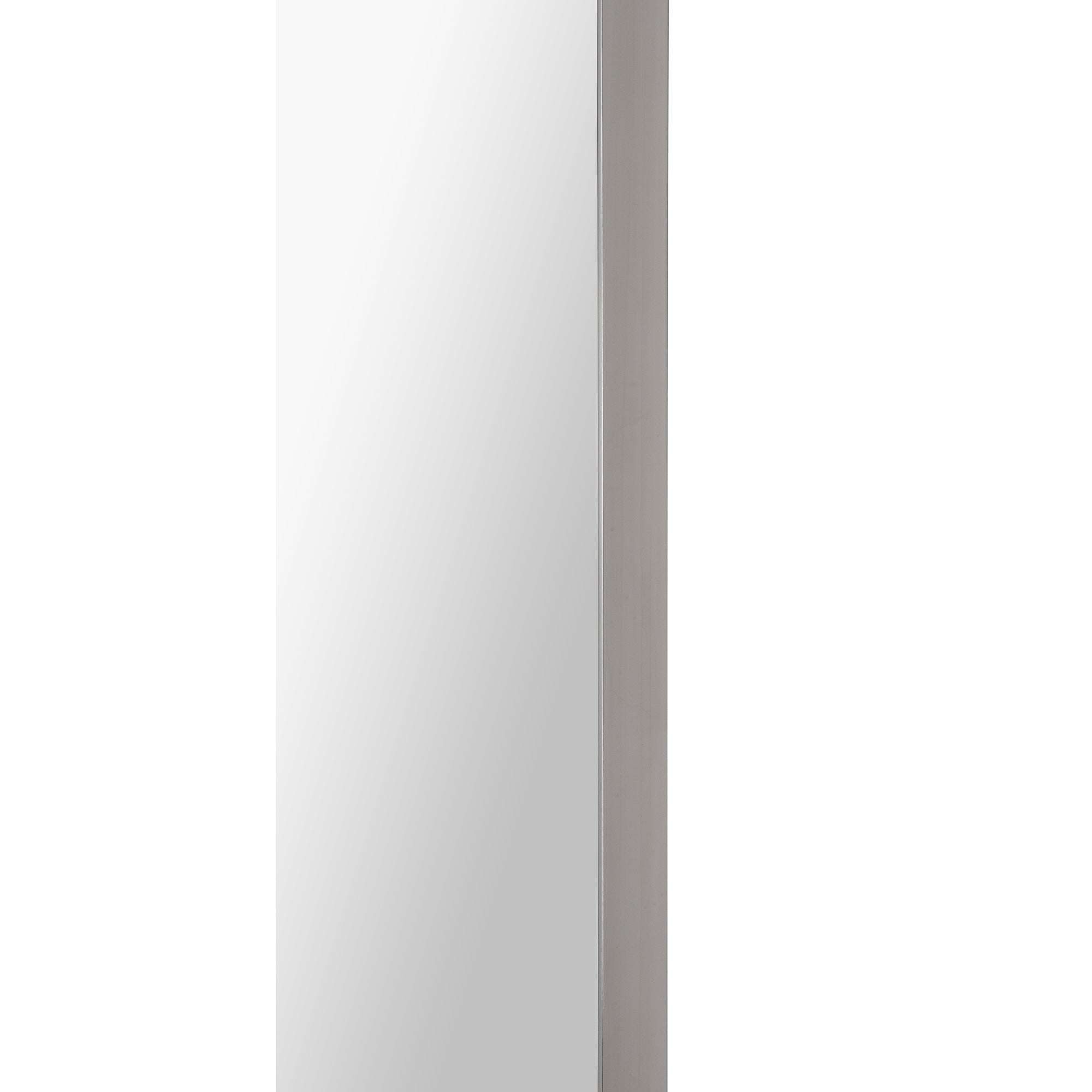 Renwil Delphinus 46" Tall Rectangle Wall Mirror - Grey