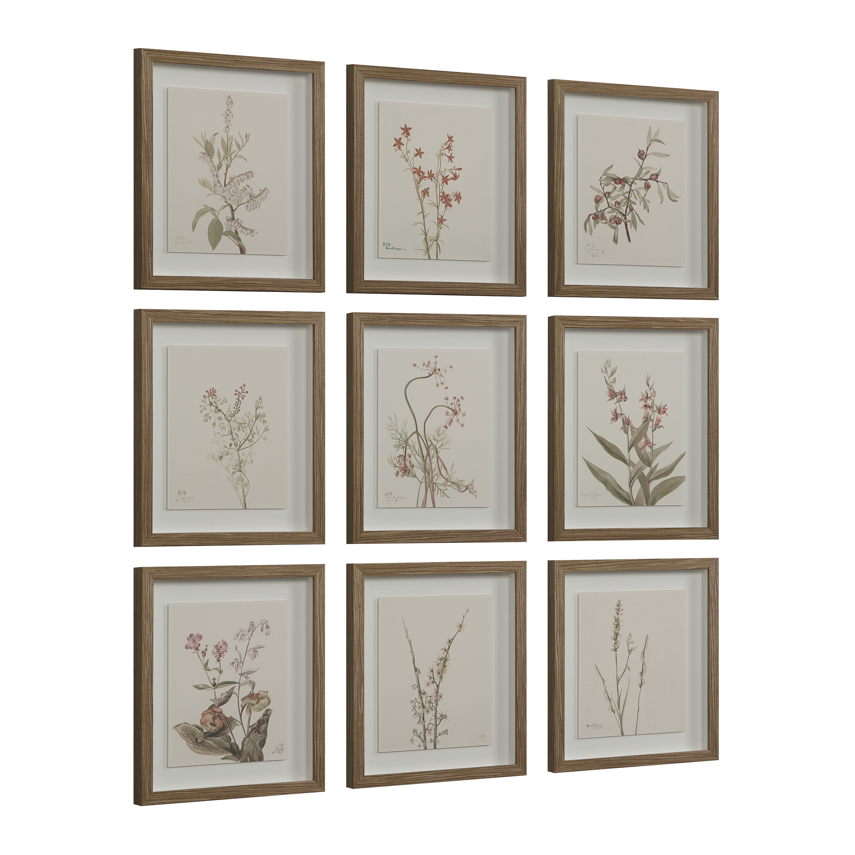 Renwil Crema 13.25" Wide Wall Decor - Printed Artwork