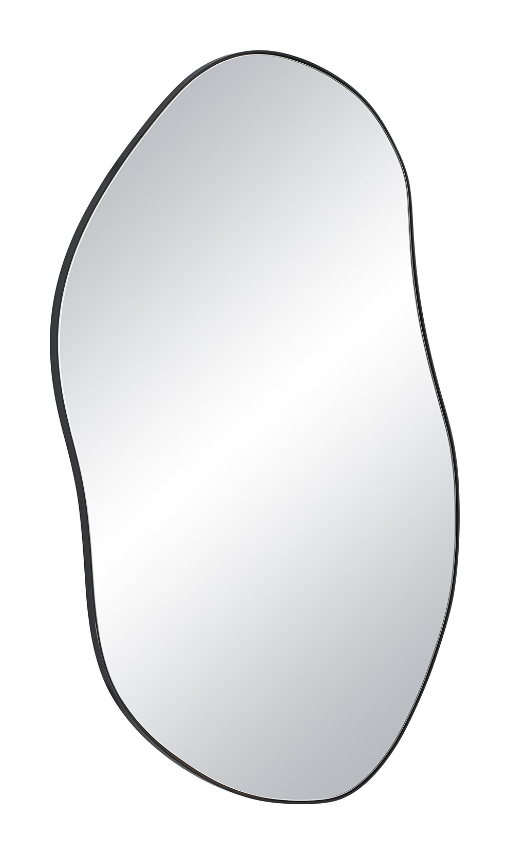 Renwil Jane 45.25" Tall Irregular Wall Mirror - Black