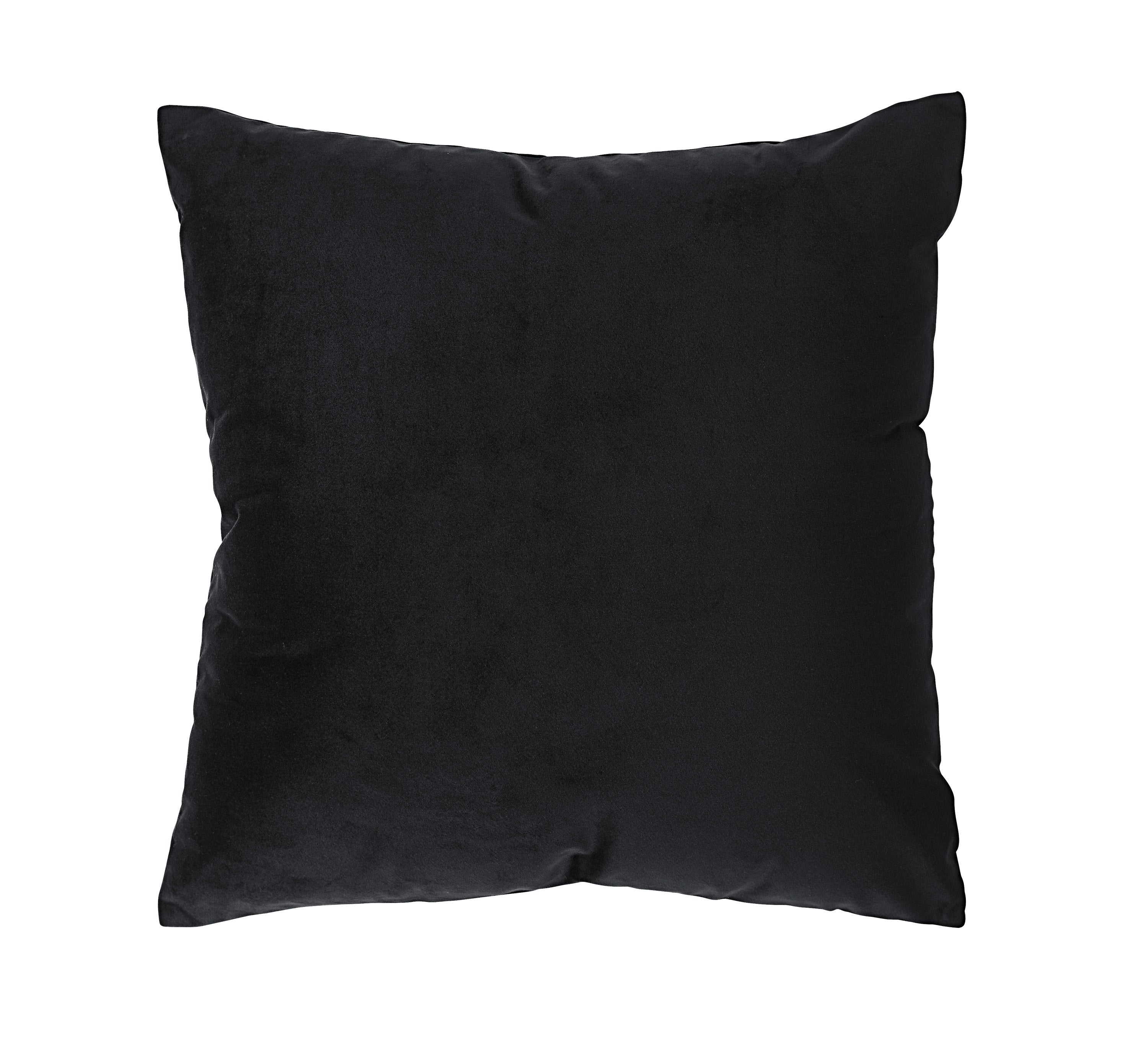 Renwil Dianthus 20 x 20 Indoor Pillow - Black