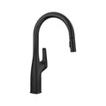 Blanco Rivana High-Arc Pull-Down Dual-Spray Kitchen Faucet