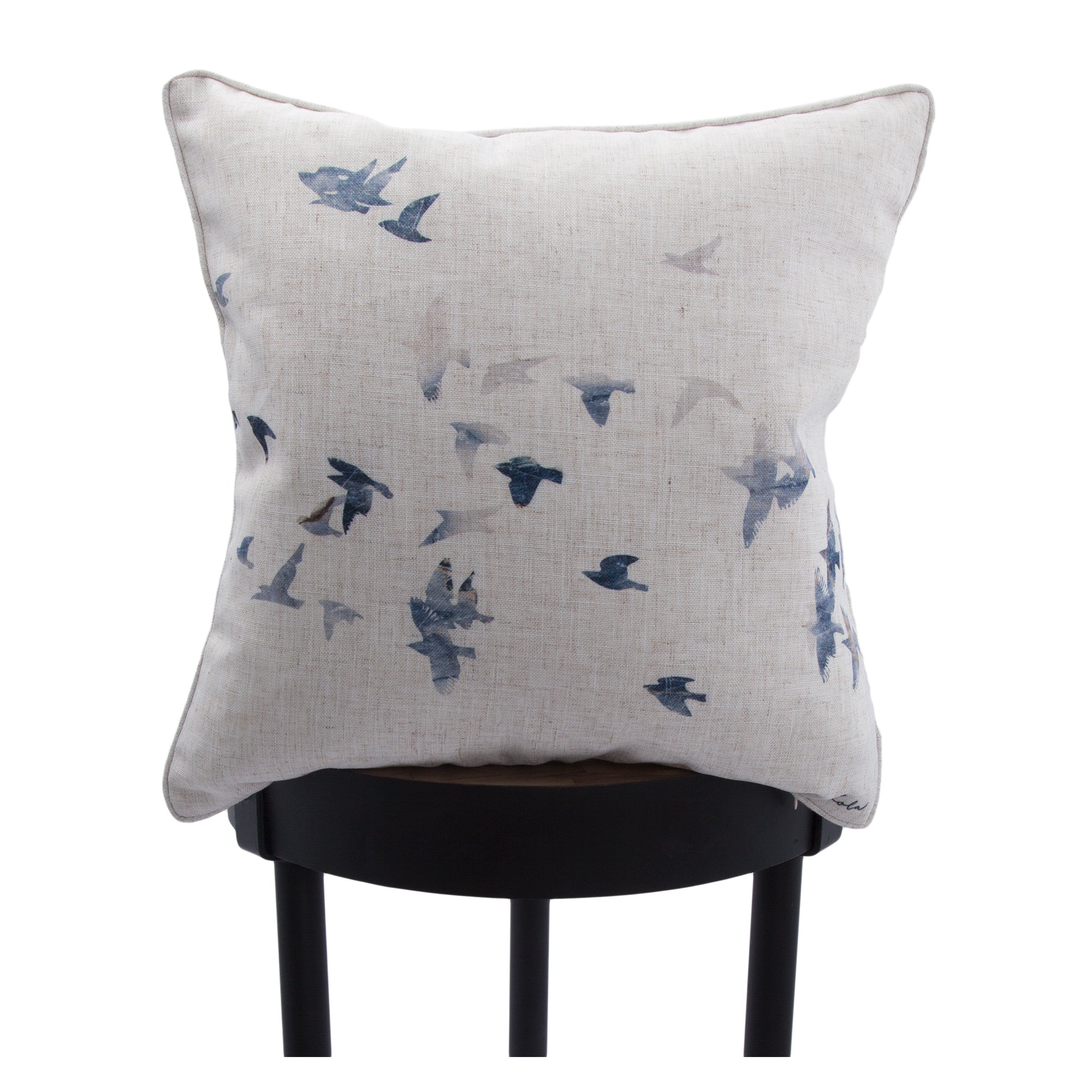 Renwil Flight 20 x 20 Indoor Pillow - Multi