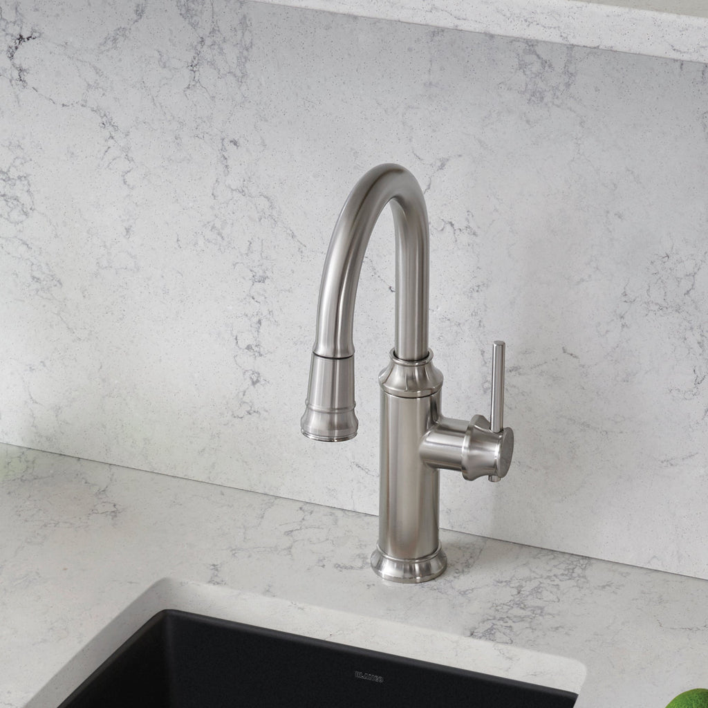 Blanco Empressa Pull-Down Bar Faucet