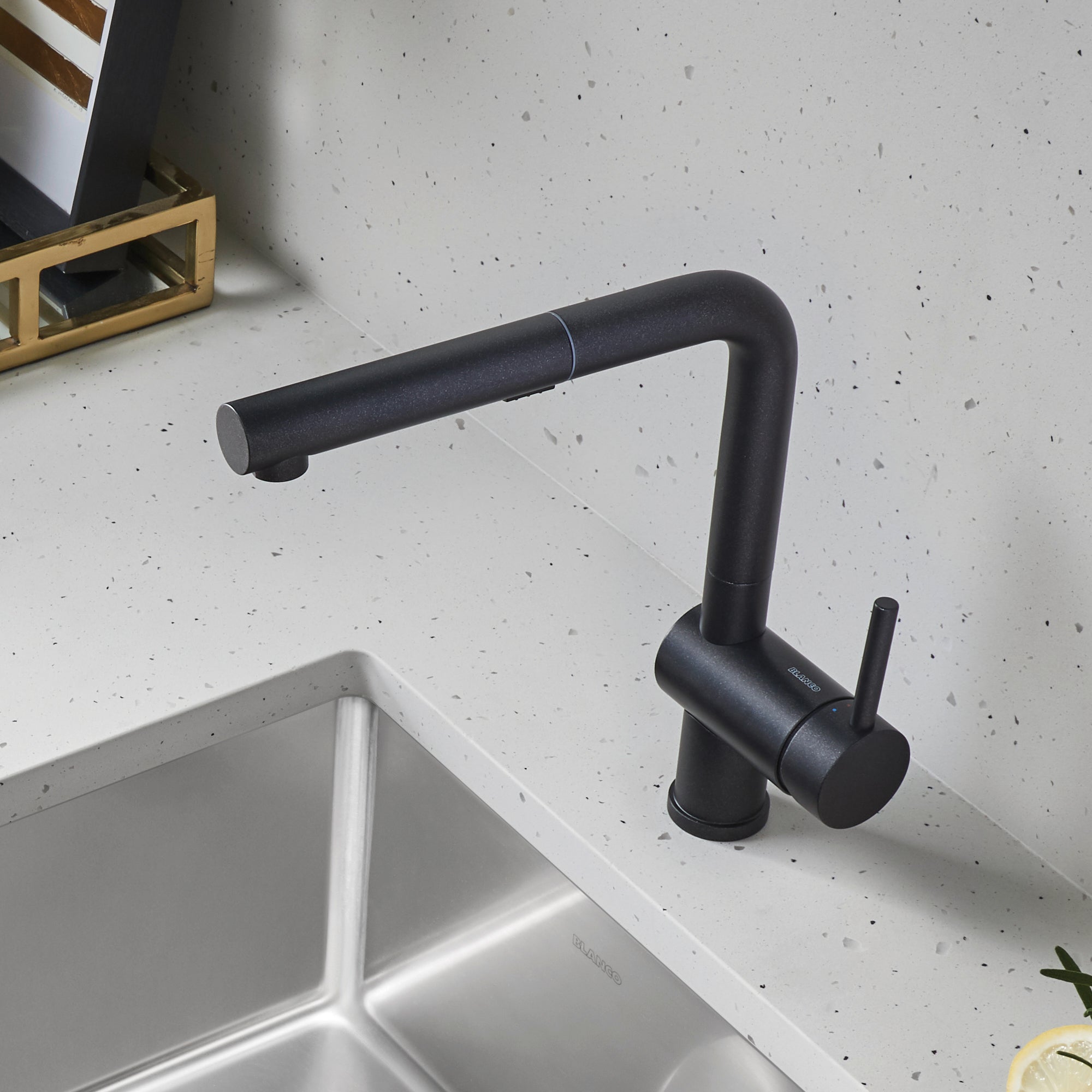Blanco Linus Low Arc Pull-Out Dual-Spray Kitchen Faucet