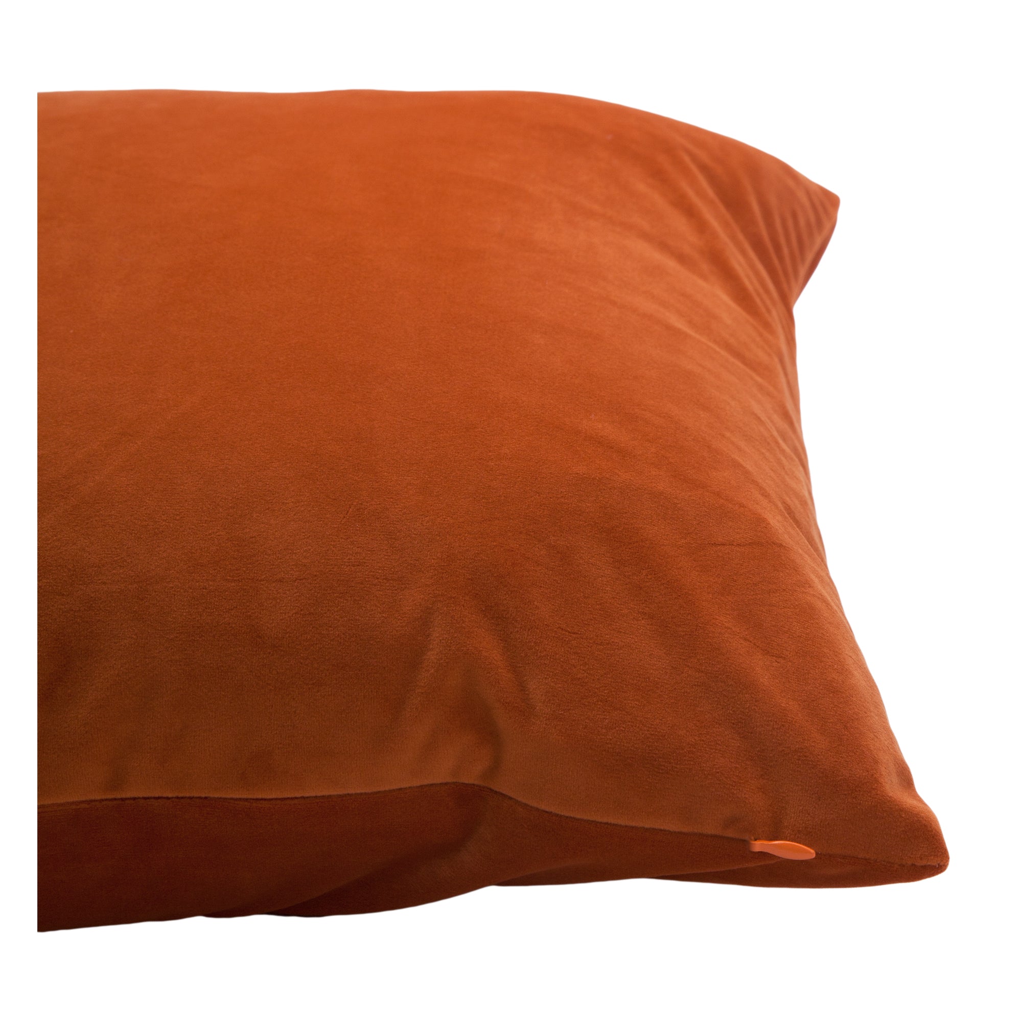 Renwil Prato 20 x 20 Indoor Pillow - Mango