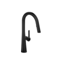 Ludik Kitchen Faucet with 2 Jet Spray