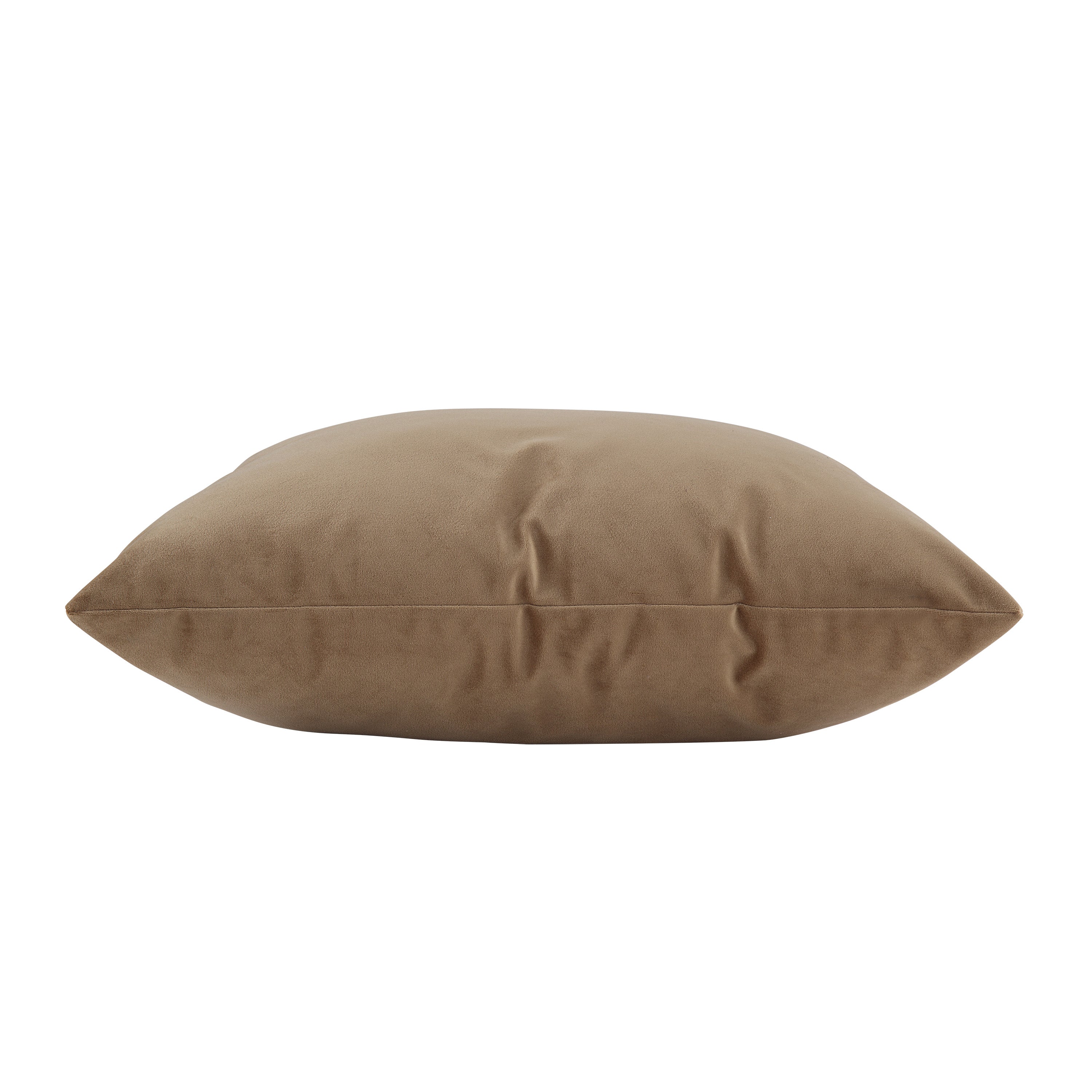 Renwil Alchemilla 20 x 20 Indoor Pillow - Camel