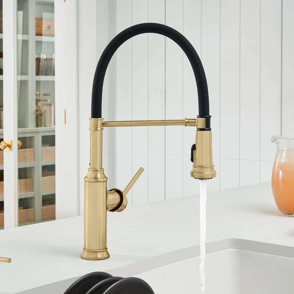 Blanco Empressa Semi-Pro Pull-Down Dual-Spray Kitchen Faucet