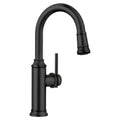Blanco Empressa Pull-Down Bar Faucet