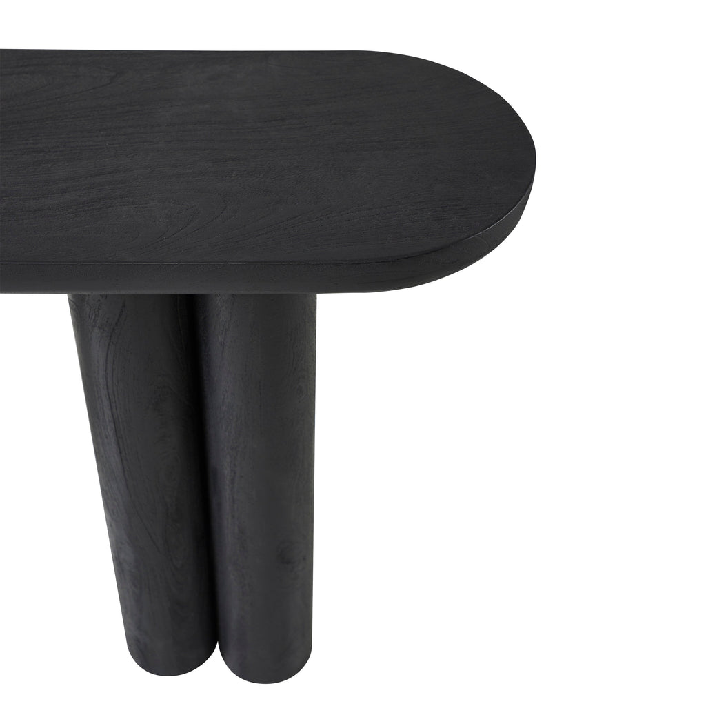 Renwil Dayna Indoor Mango Wood Console Table - Black