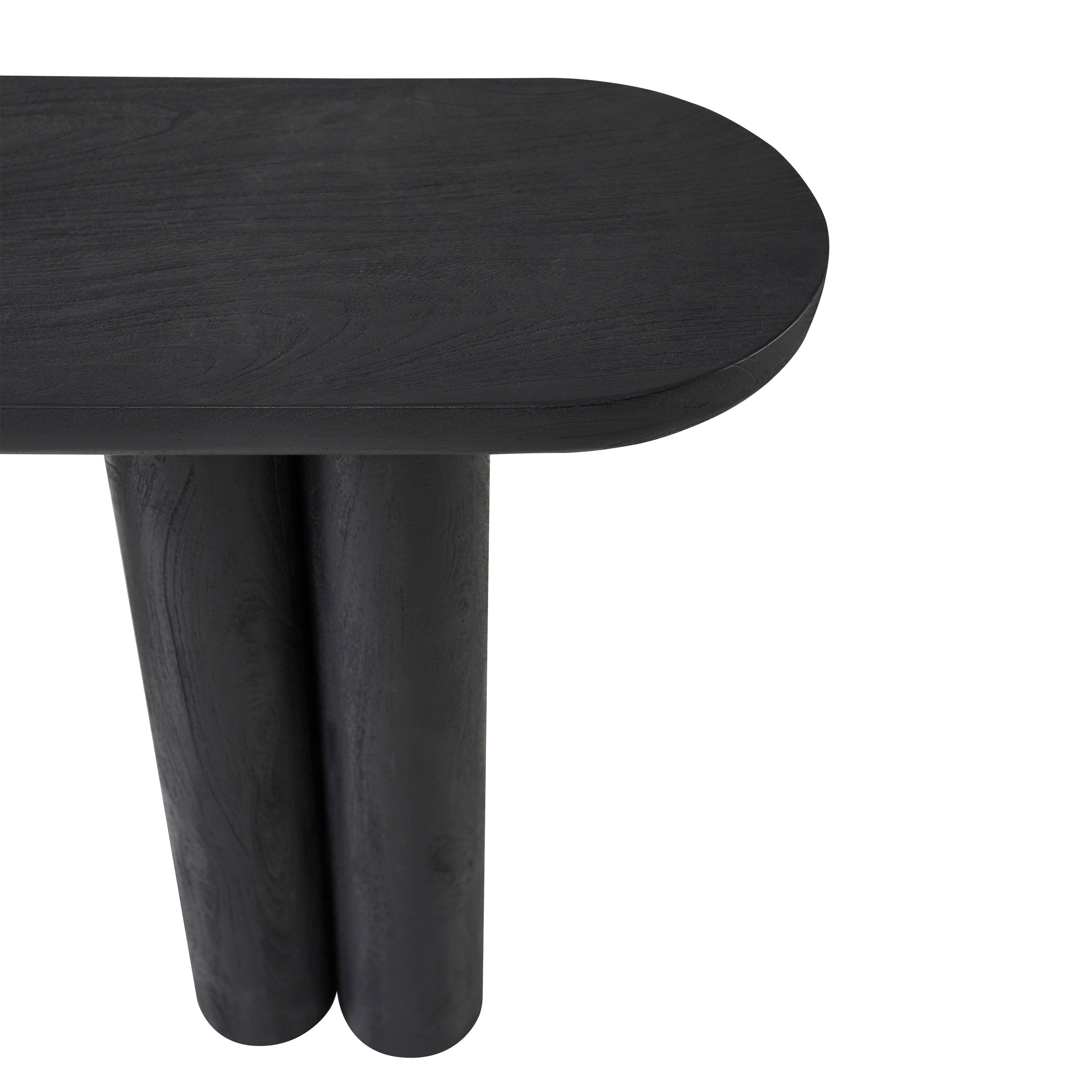 Renwil Dayna Indoor Mango Wood Console Table - Black