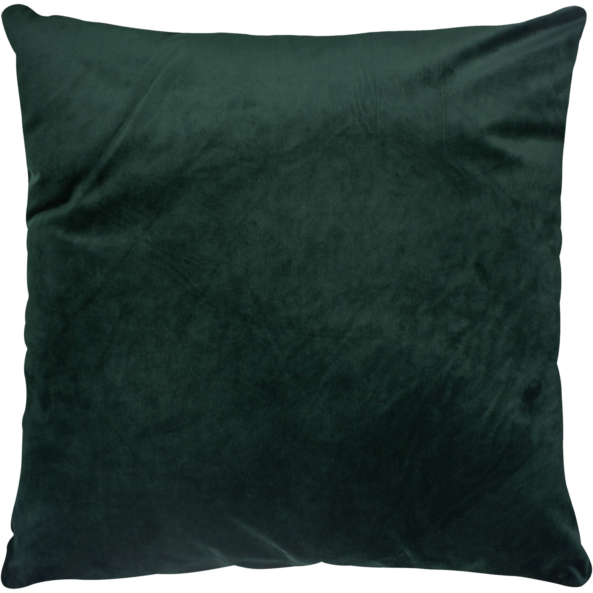 Renwil Olive 20 x 20 Indoor Pillow - Hunter Green