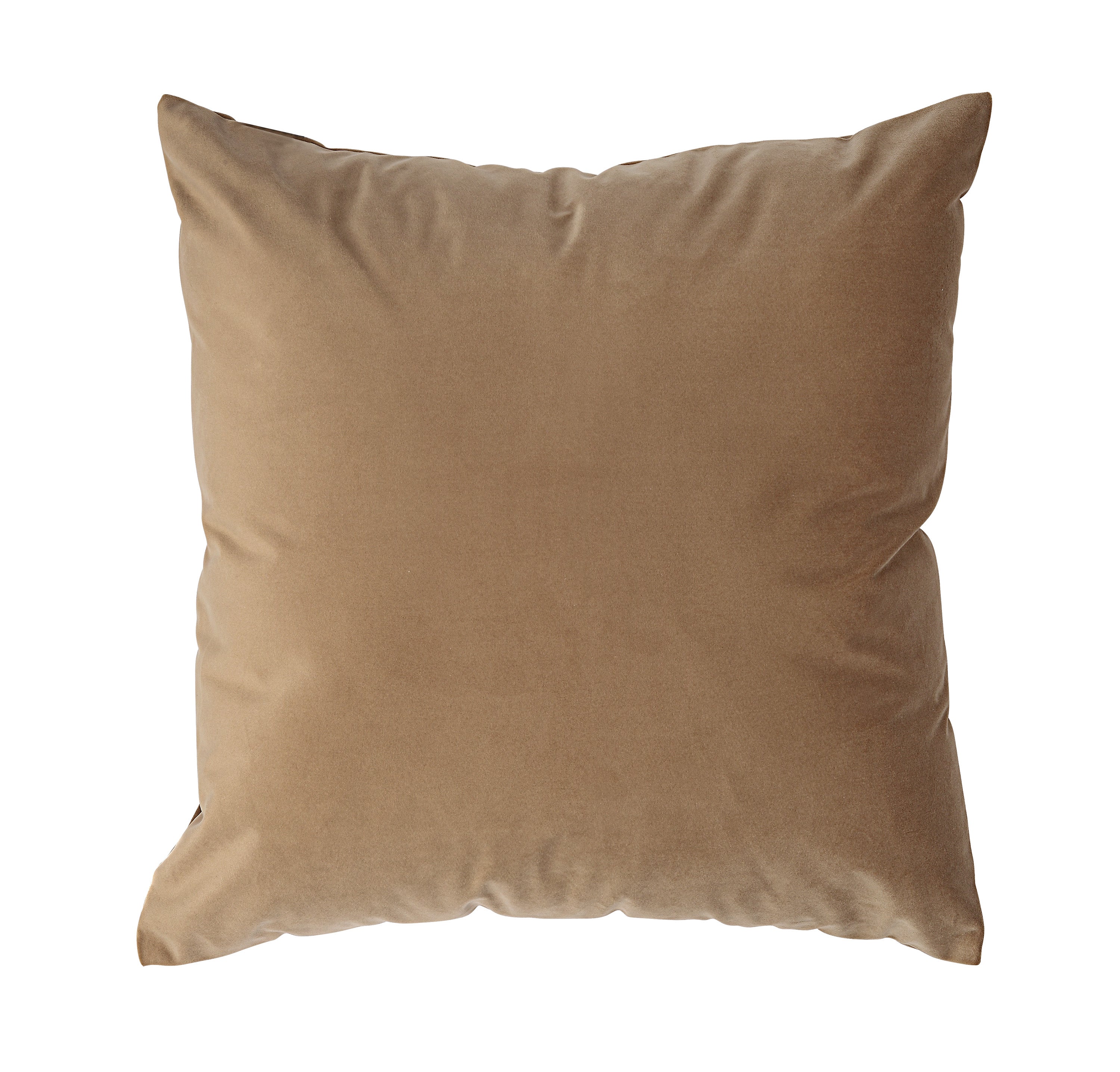 Renwil Alchemilla 20 x 20 Indoor Pillow - Camel